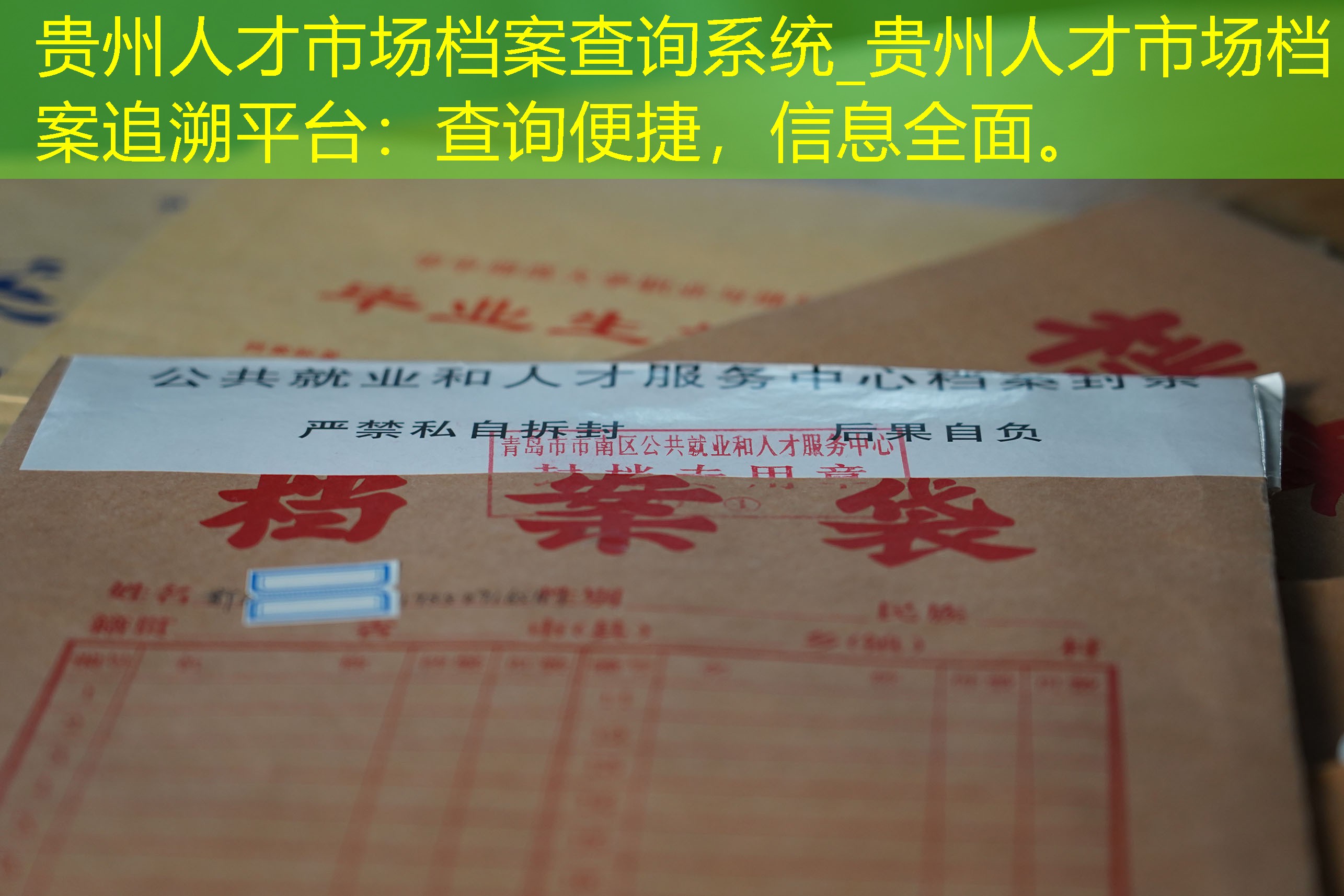 档案查询