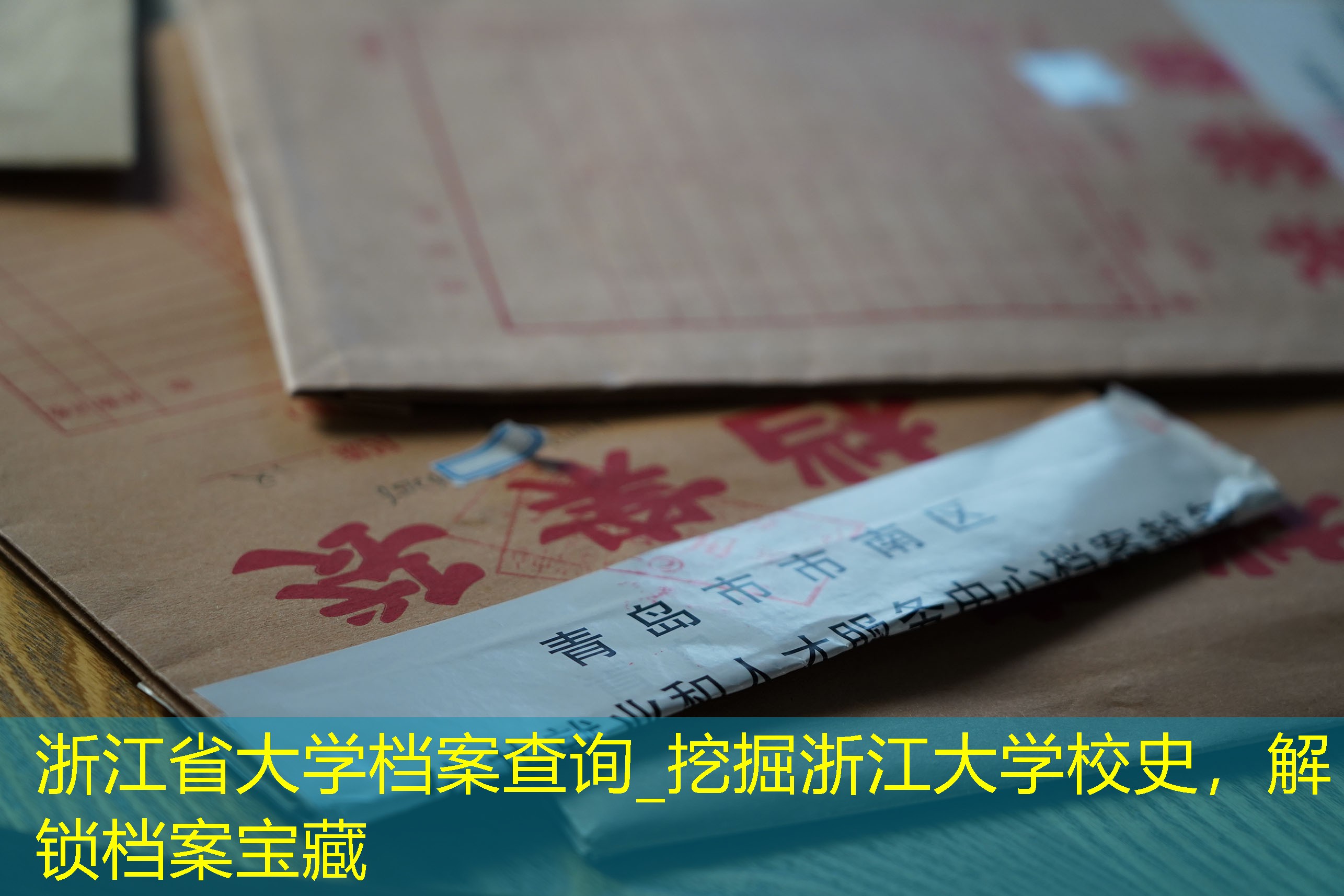 档案查询