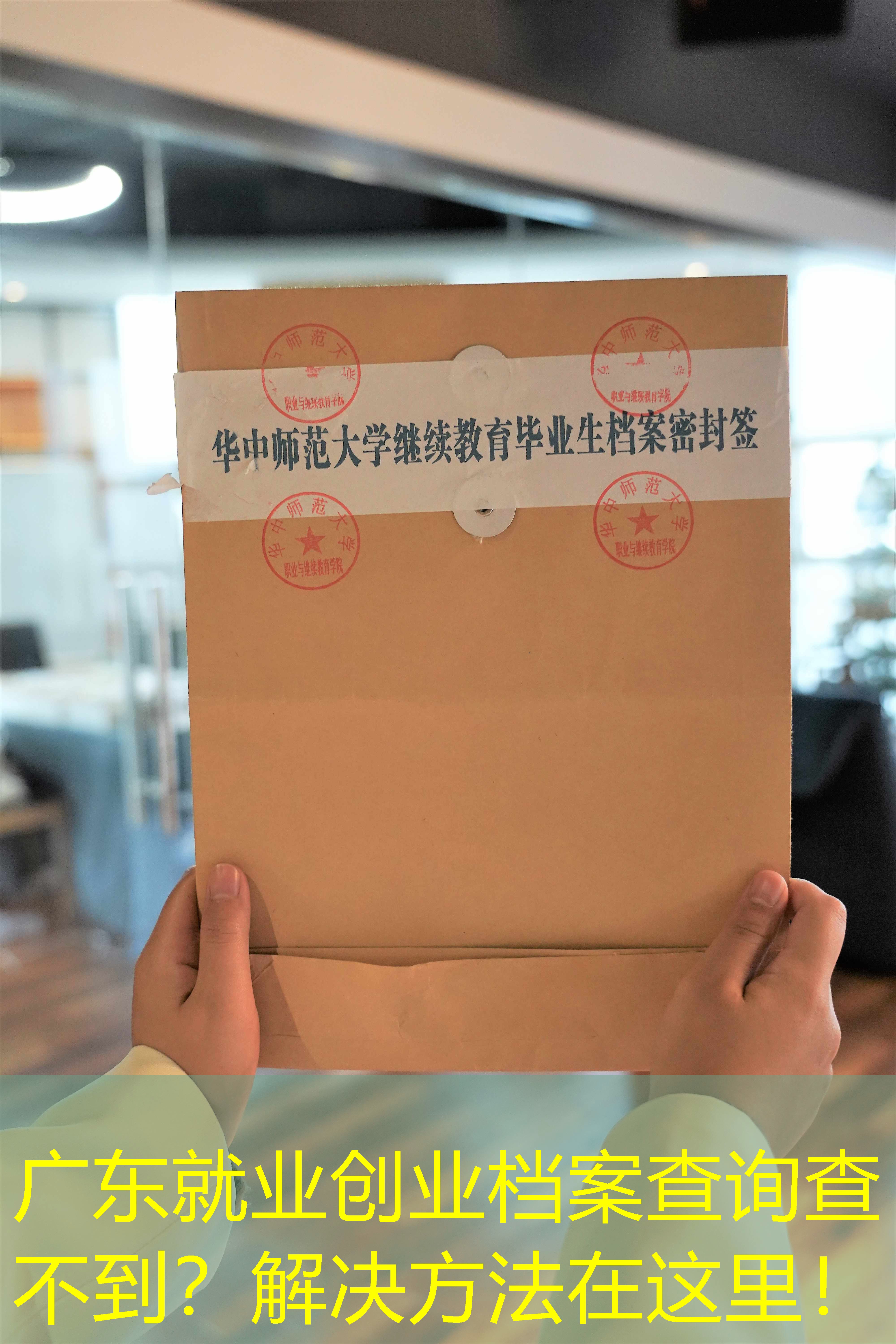 档案查询
