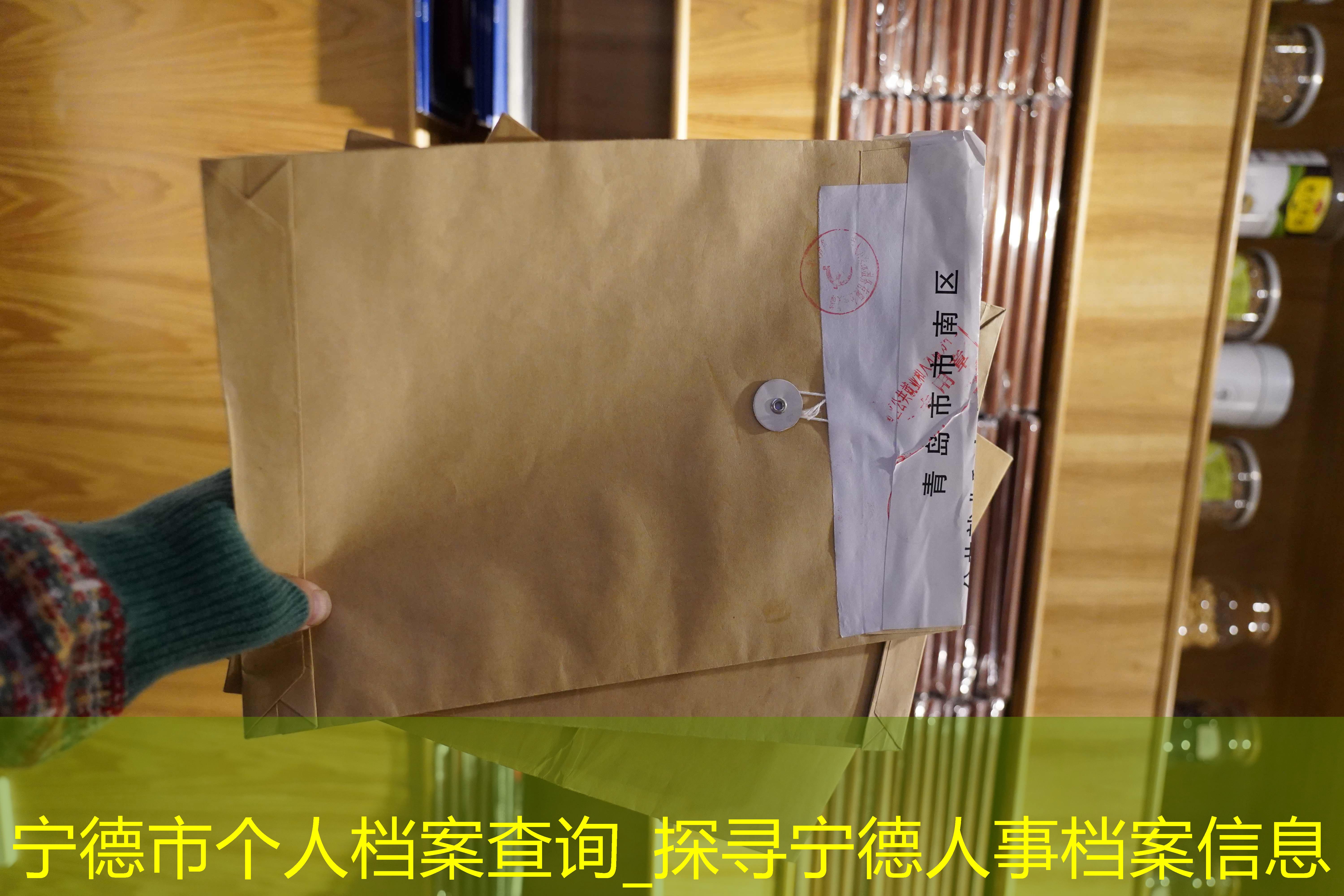 档案查询