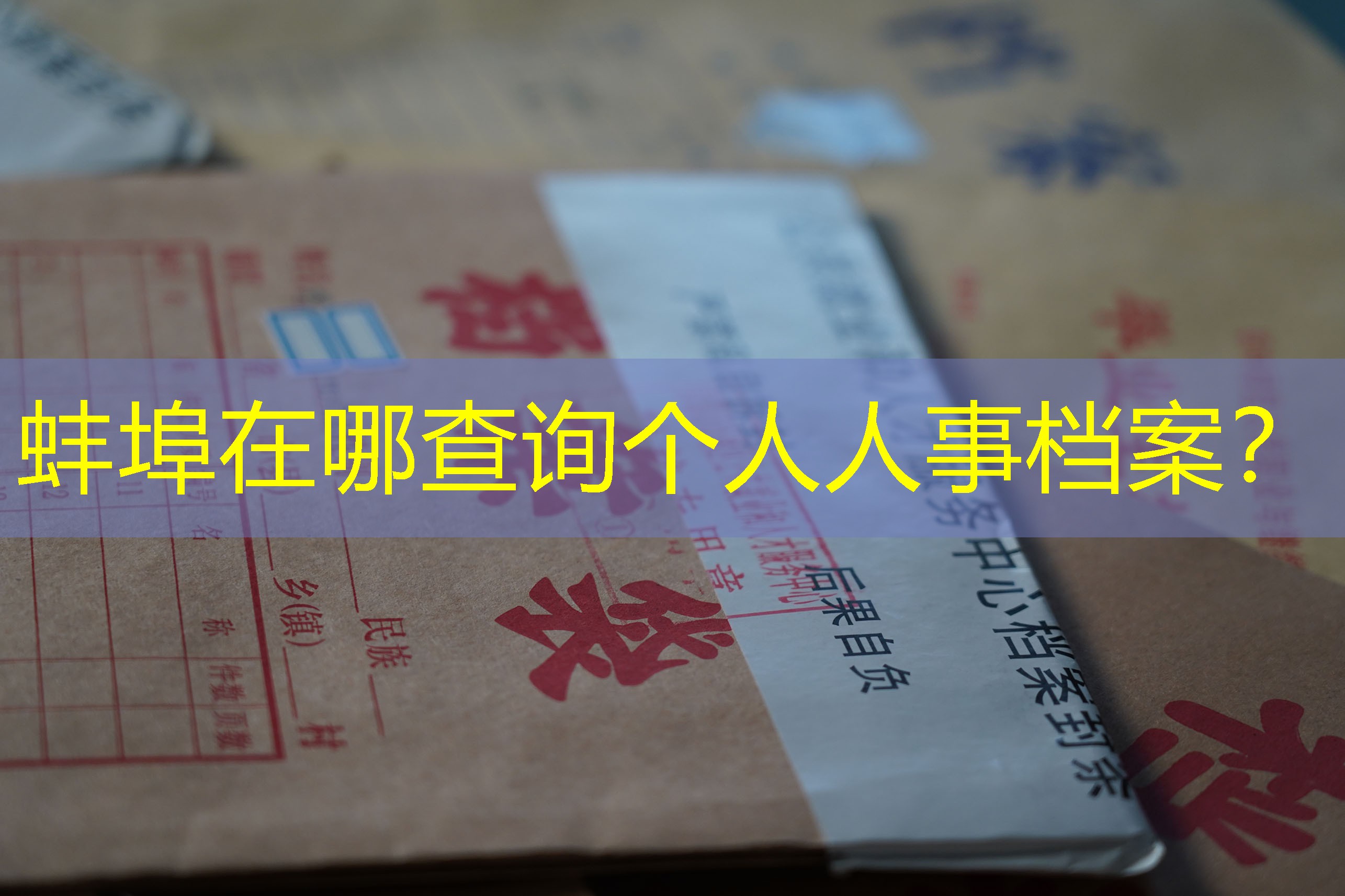 档案查询