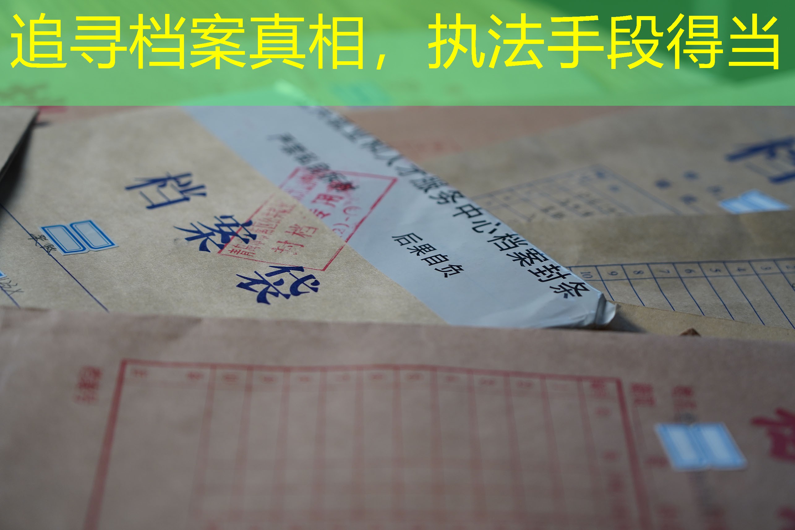 档案查询