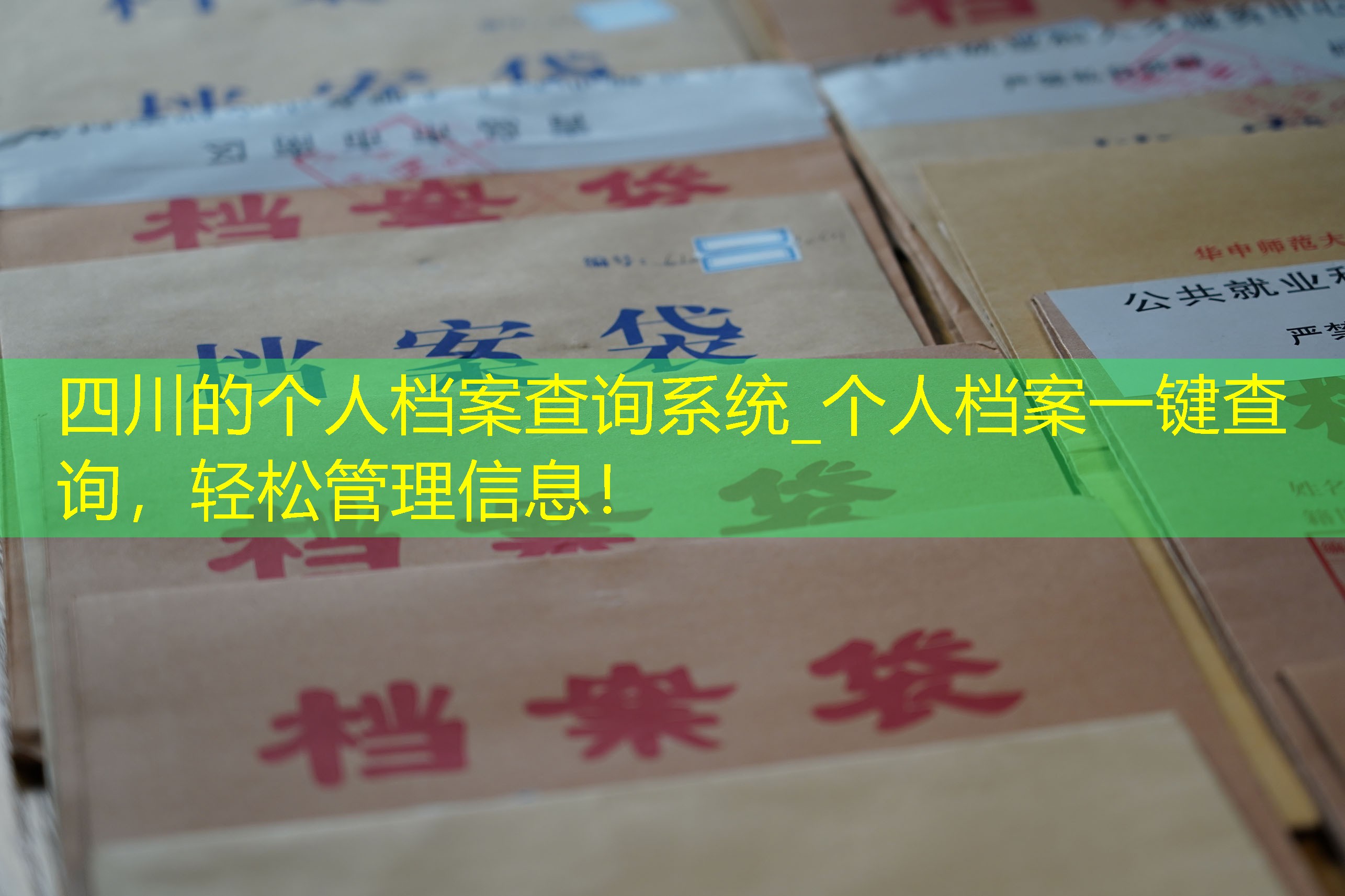 档案查询