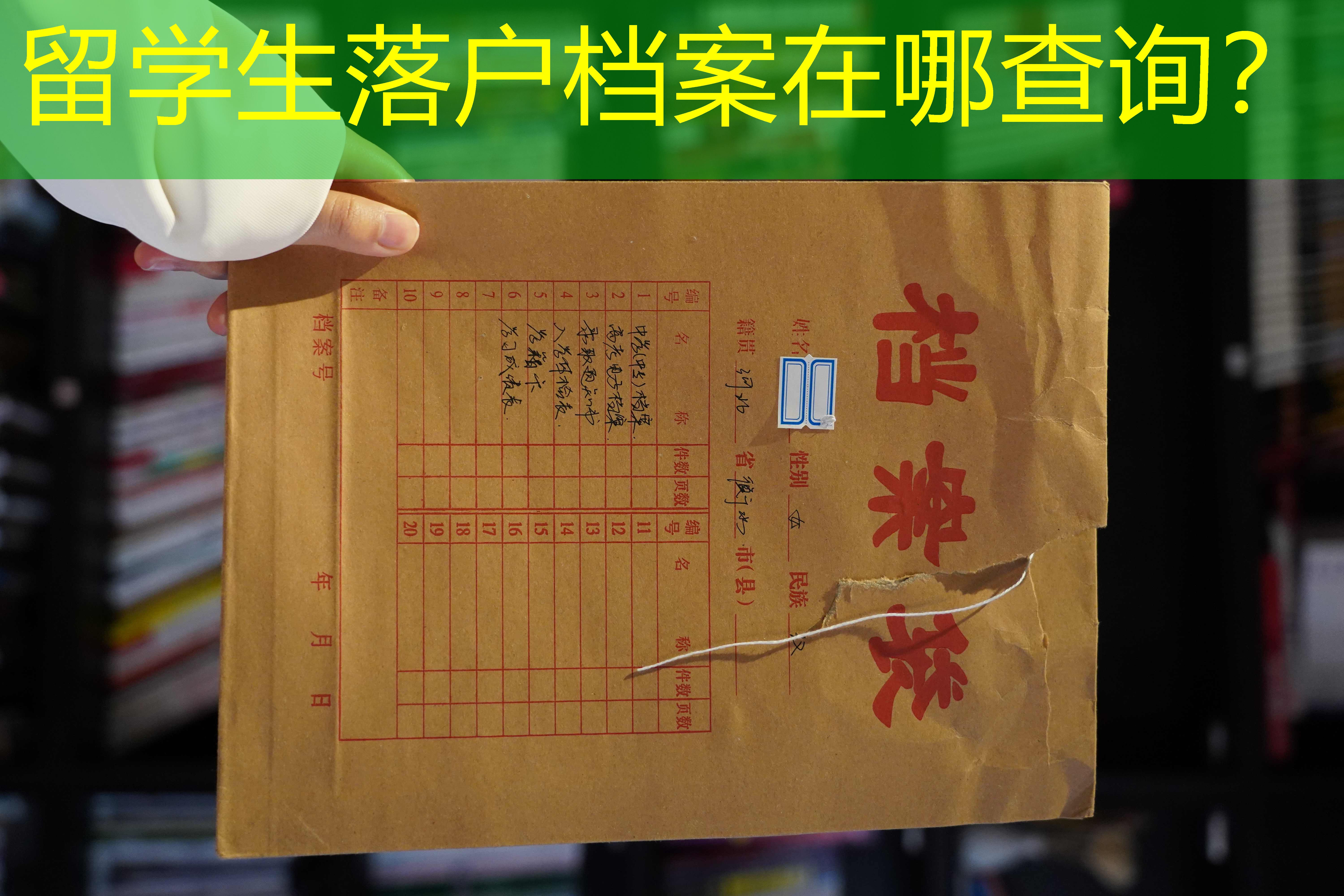 档案查询