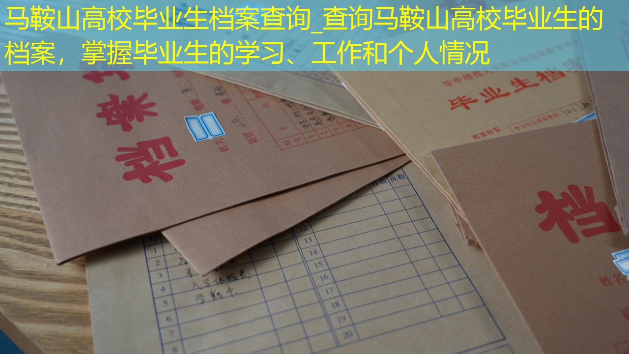 档案查询