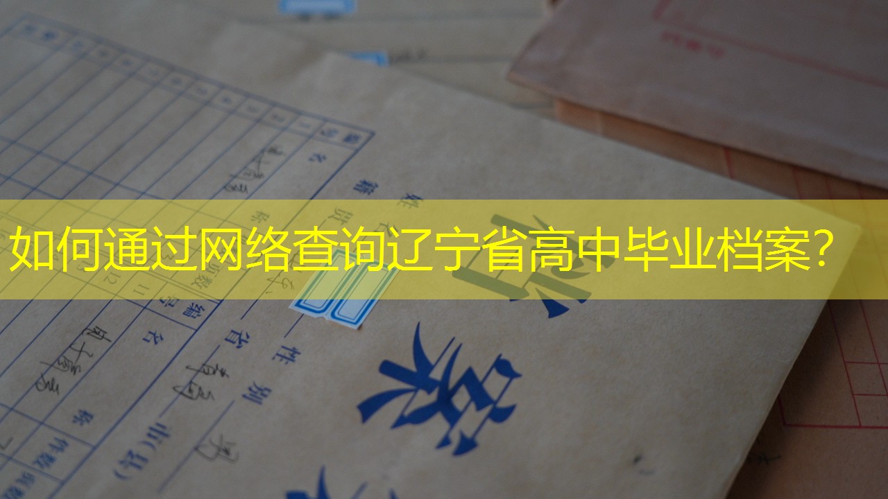 档案查询
