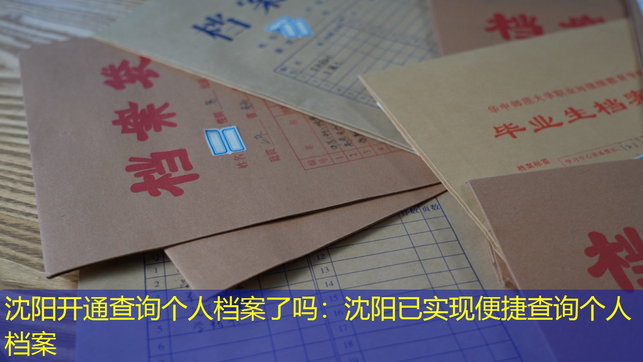 档案查询