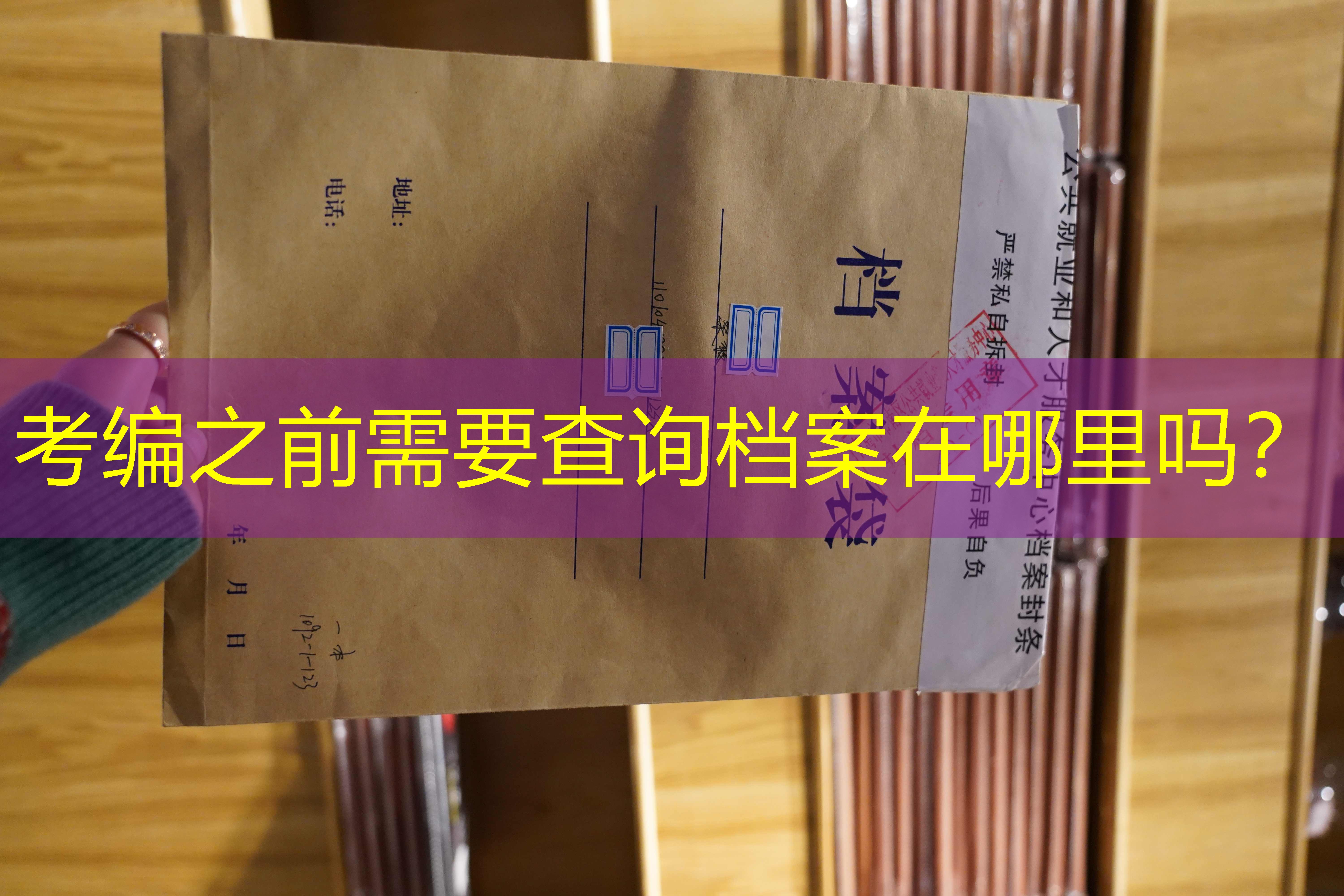 档案查询