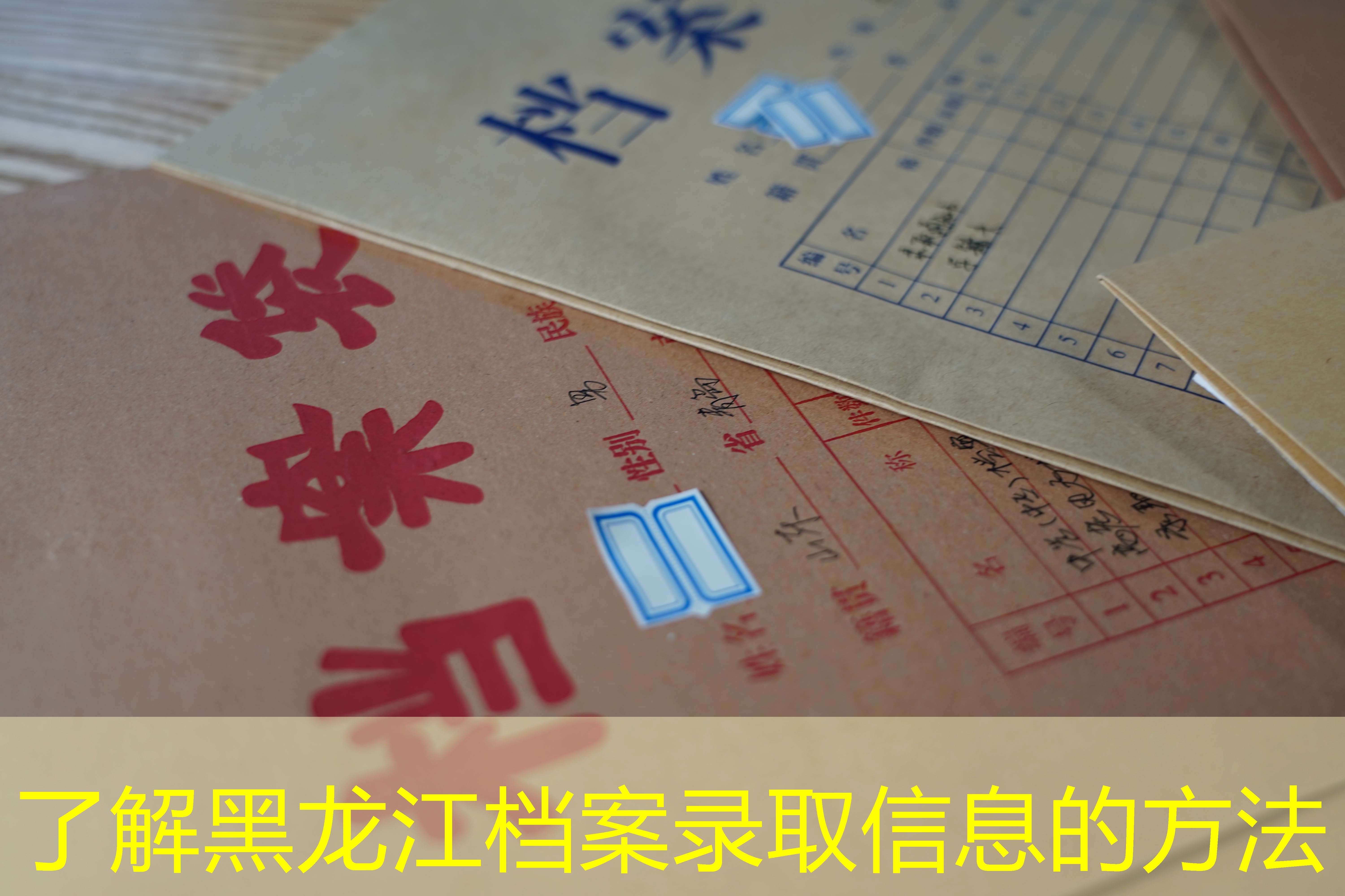 档案查询