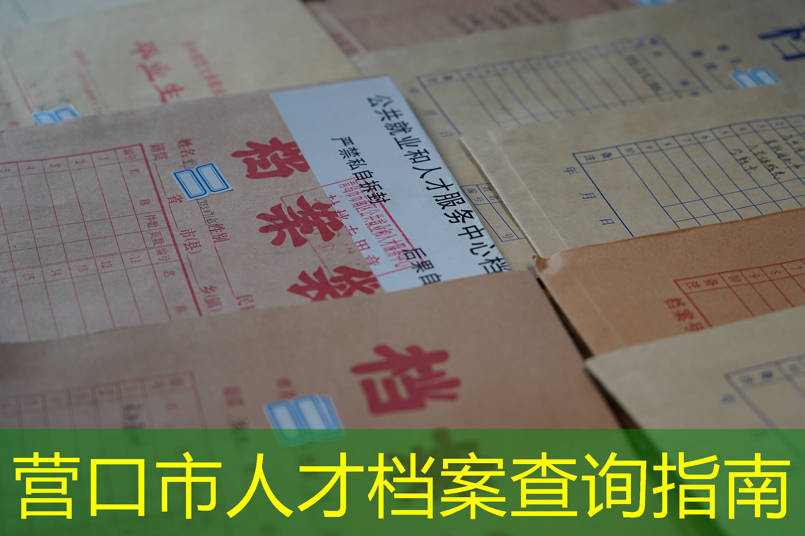 档案查询