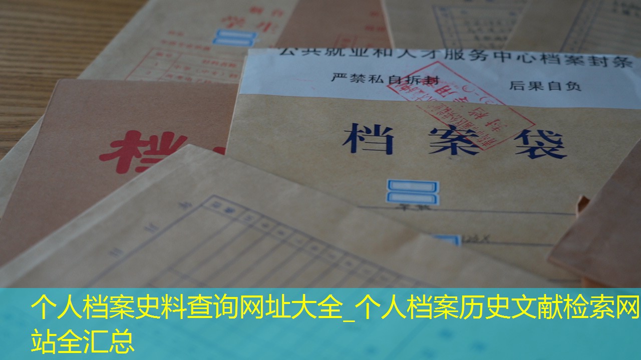 档案查询