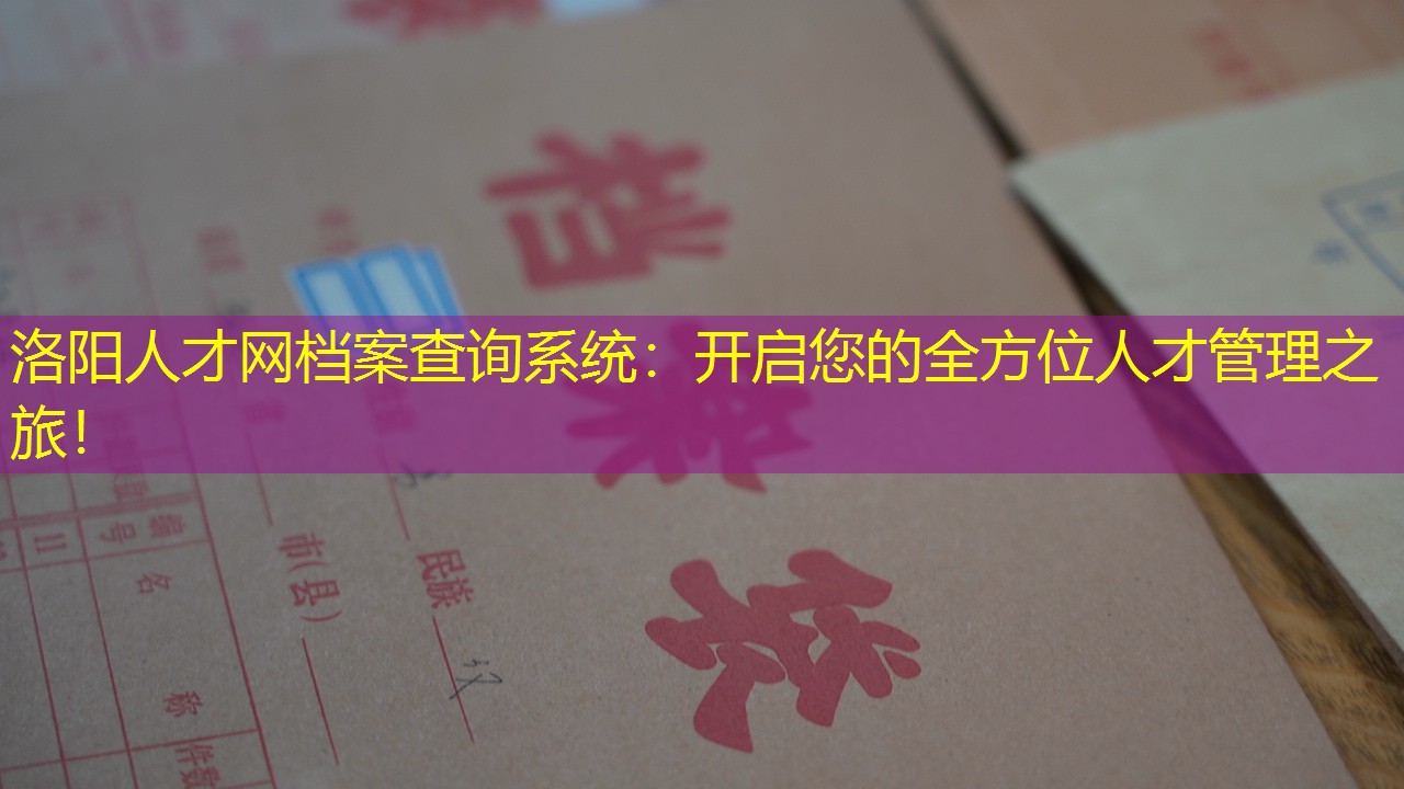 档案查询