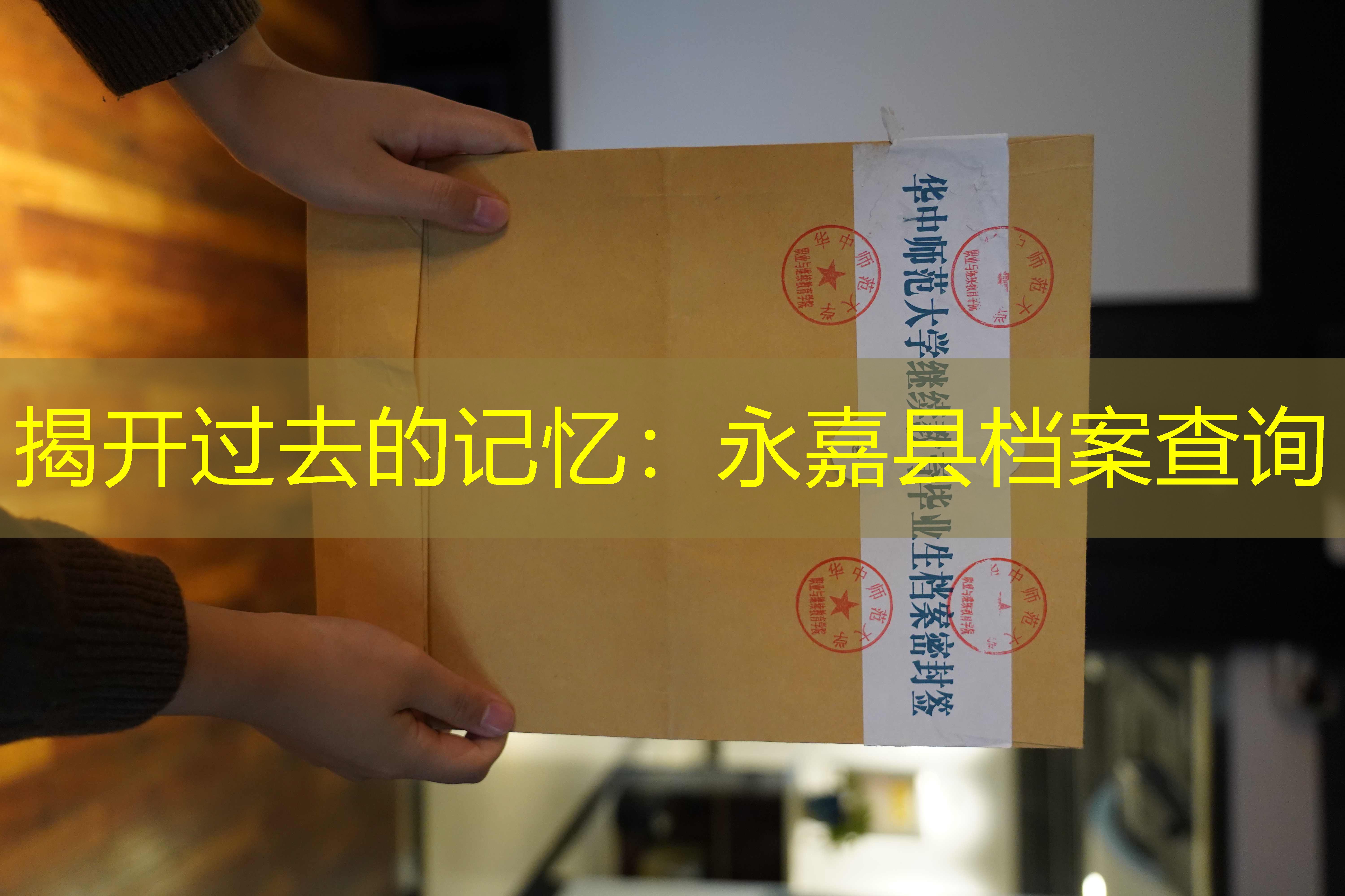 档案查询