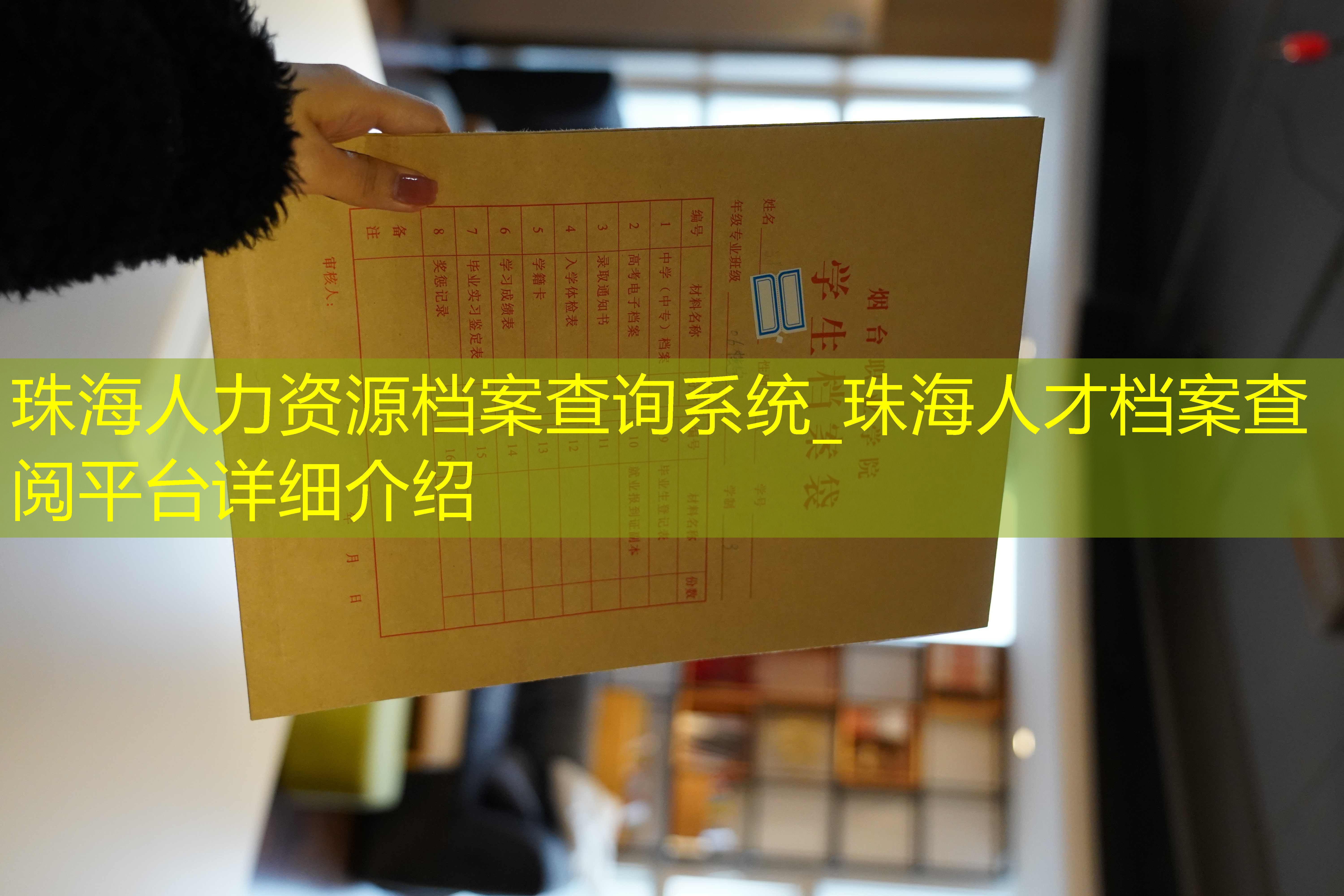 档案查询