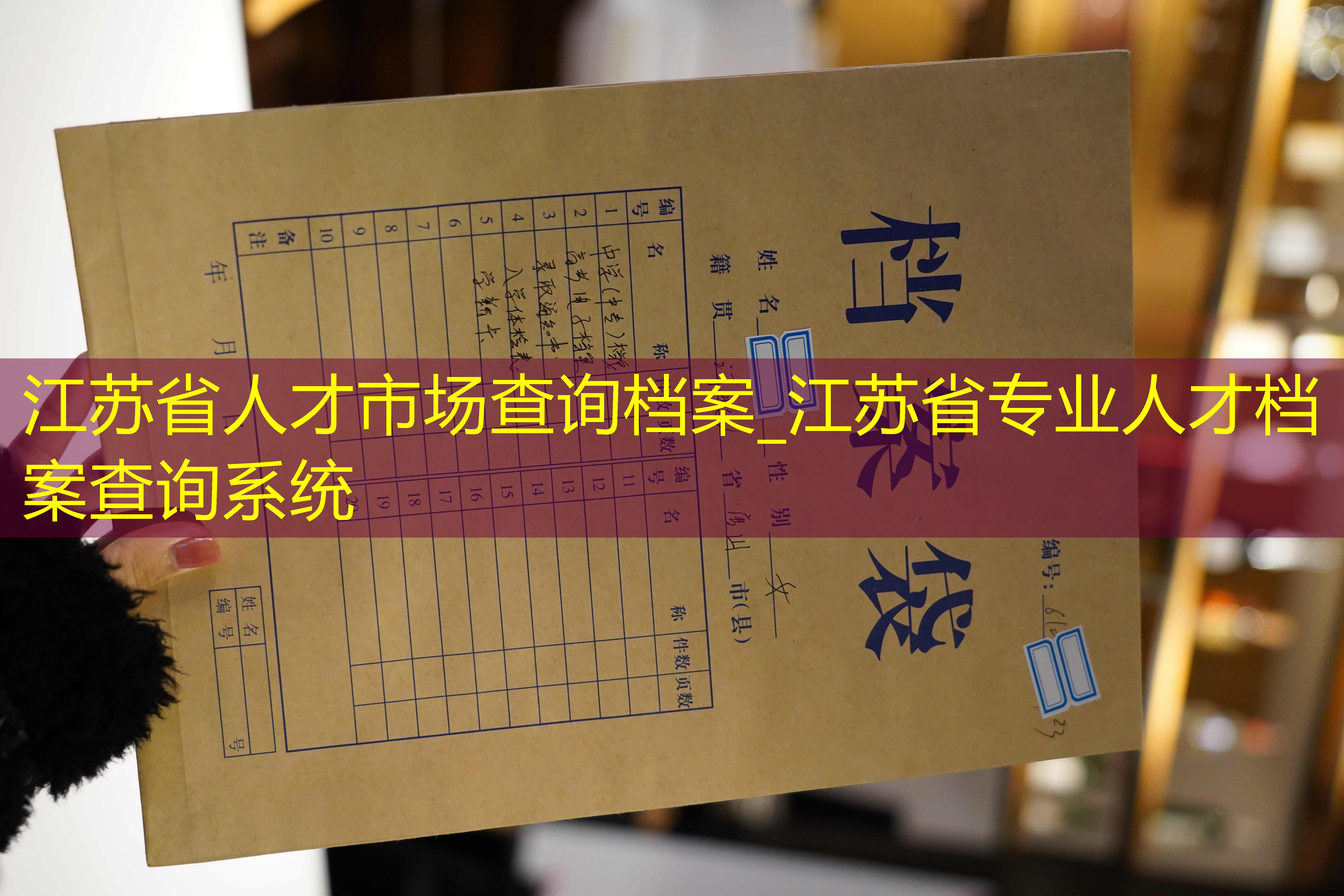 档案查询