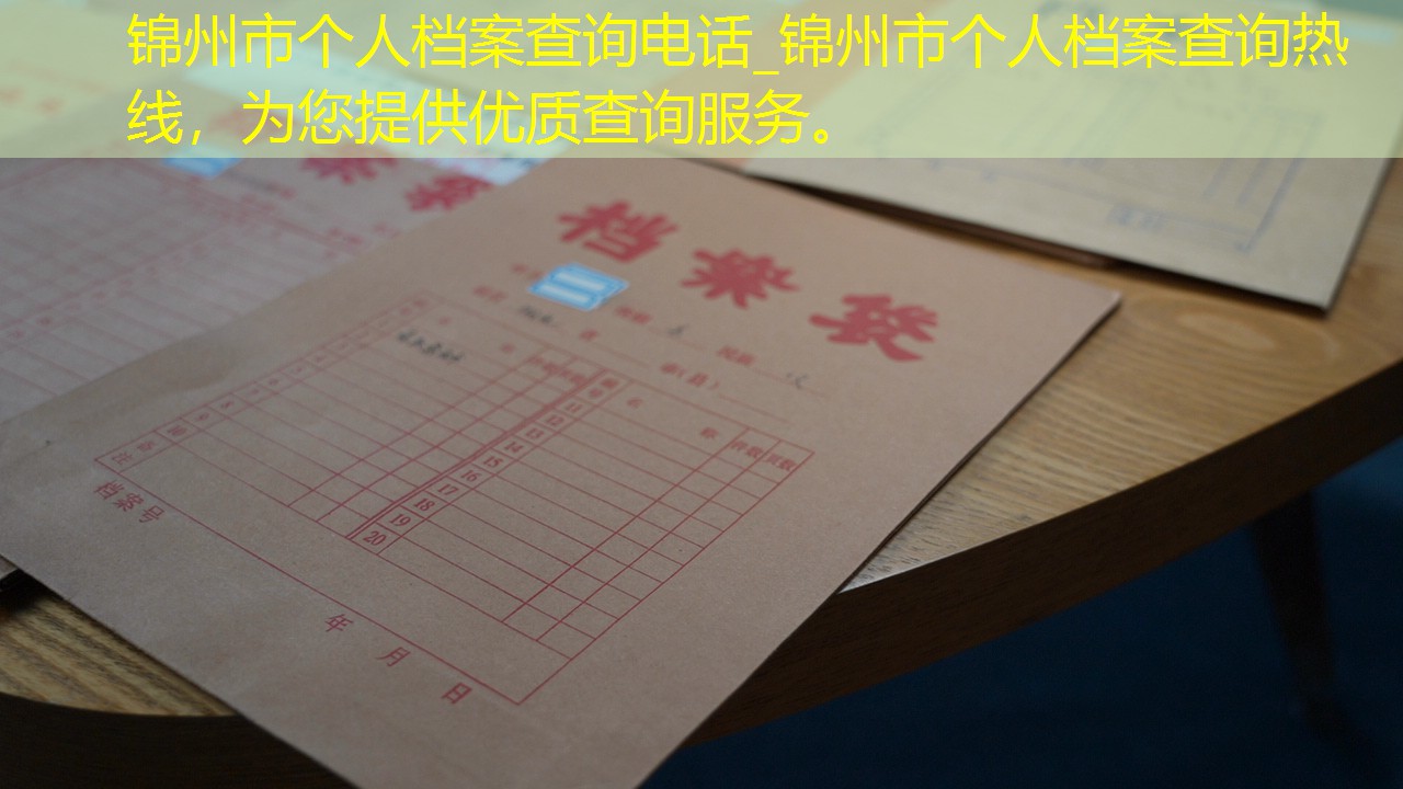 档案查询
