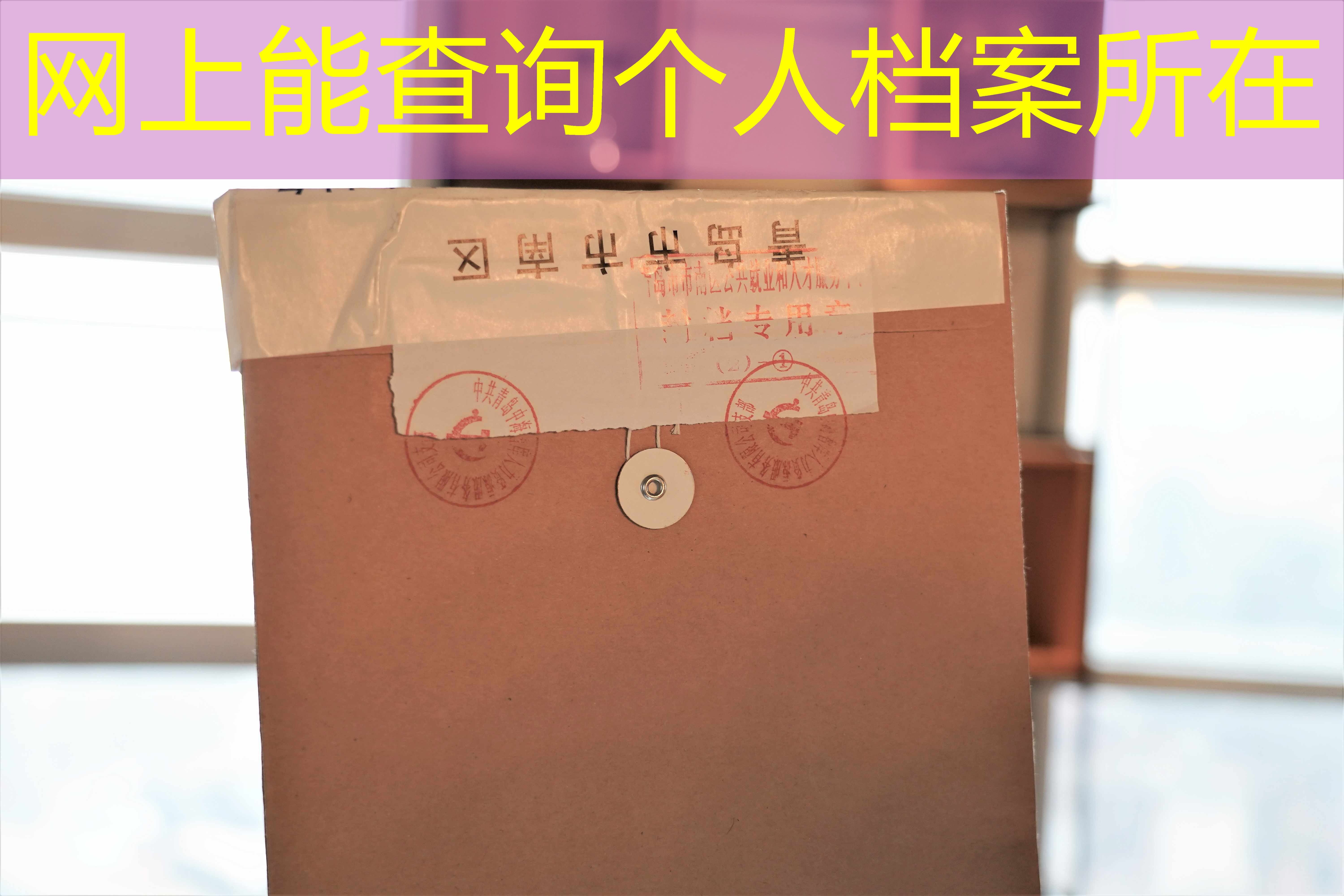 档案查询
