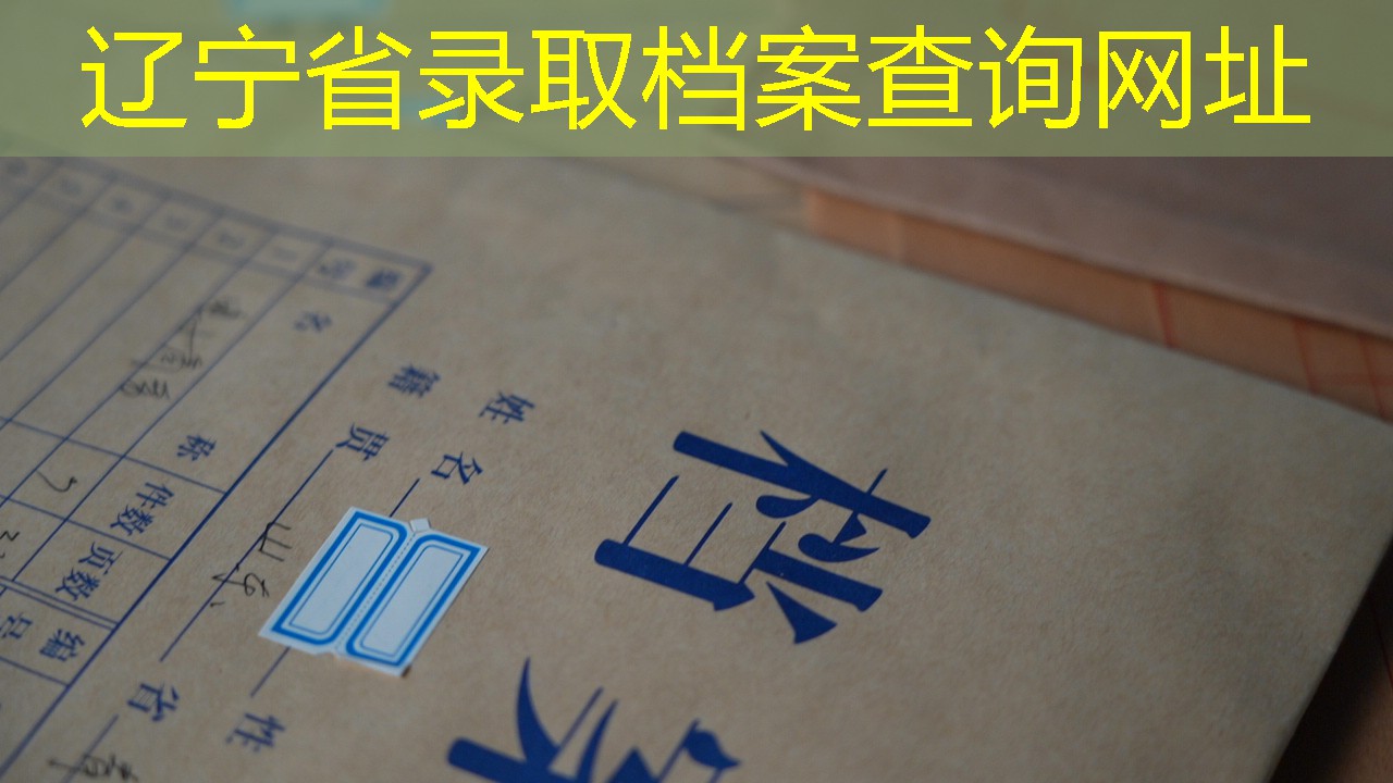 档案查询