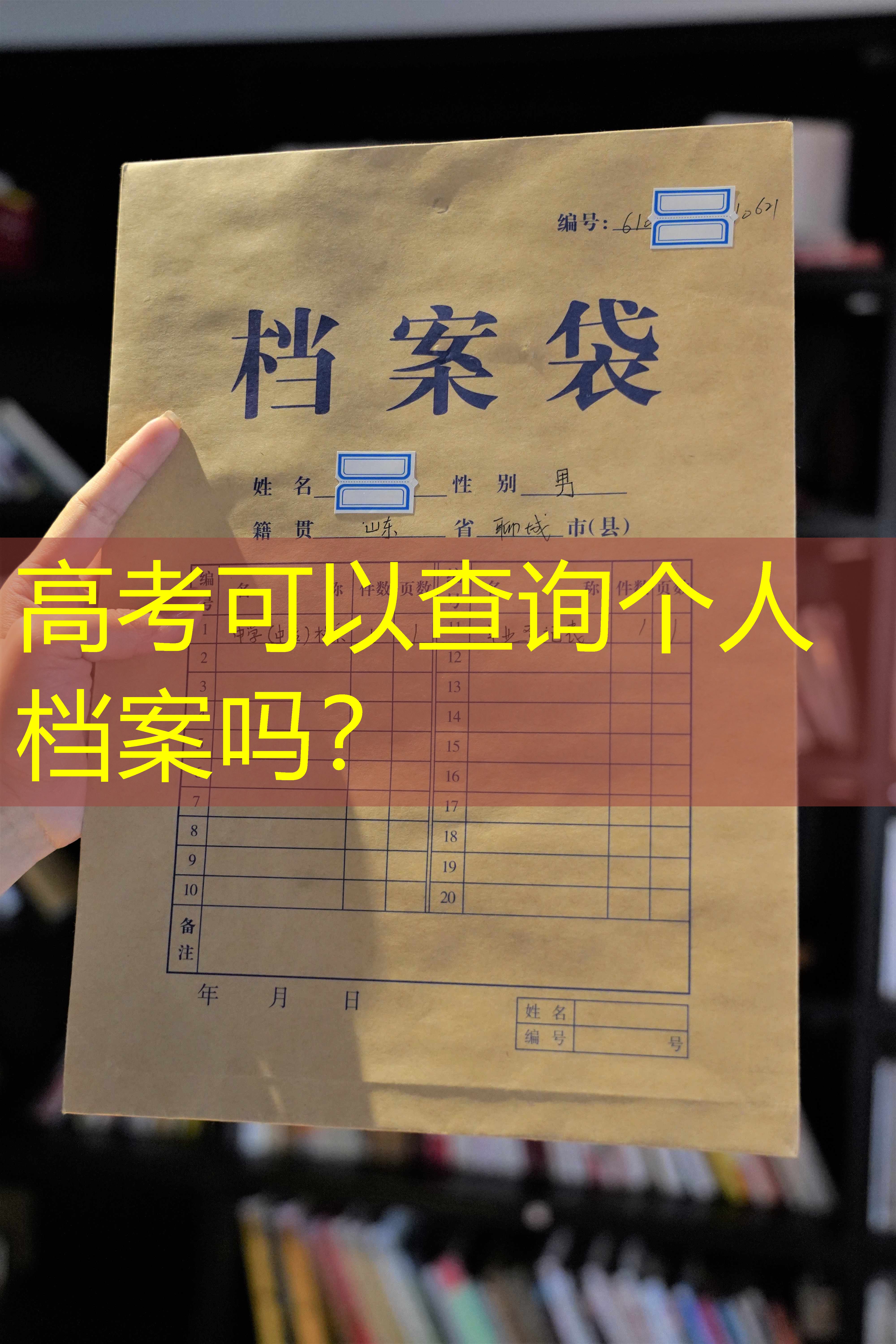 档案查询