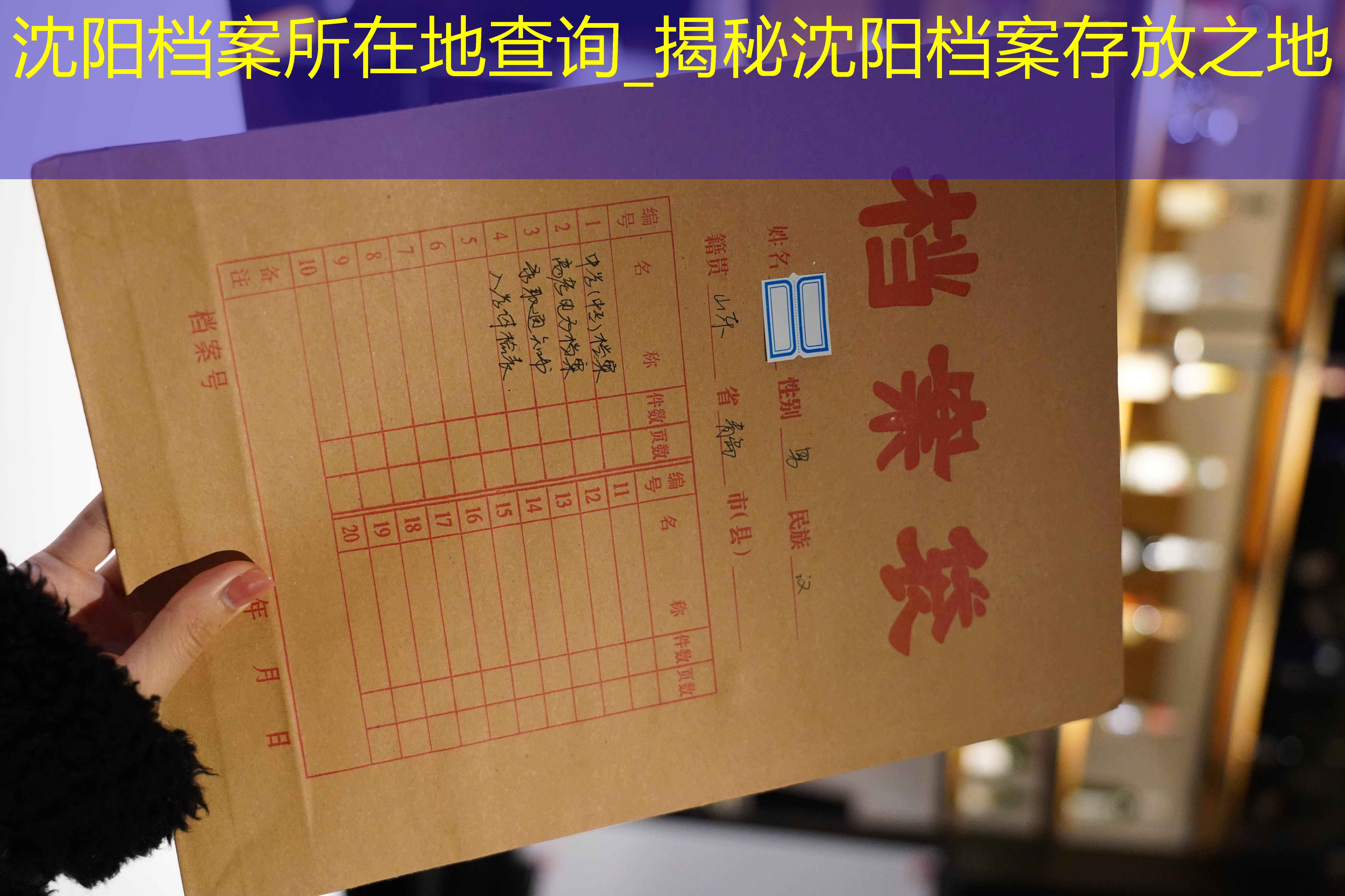 档案查询