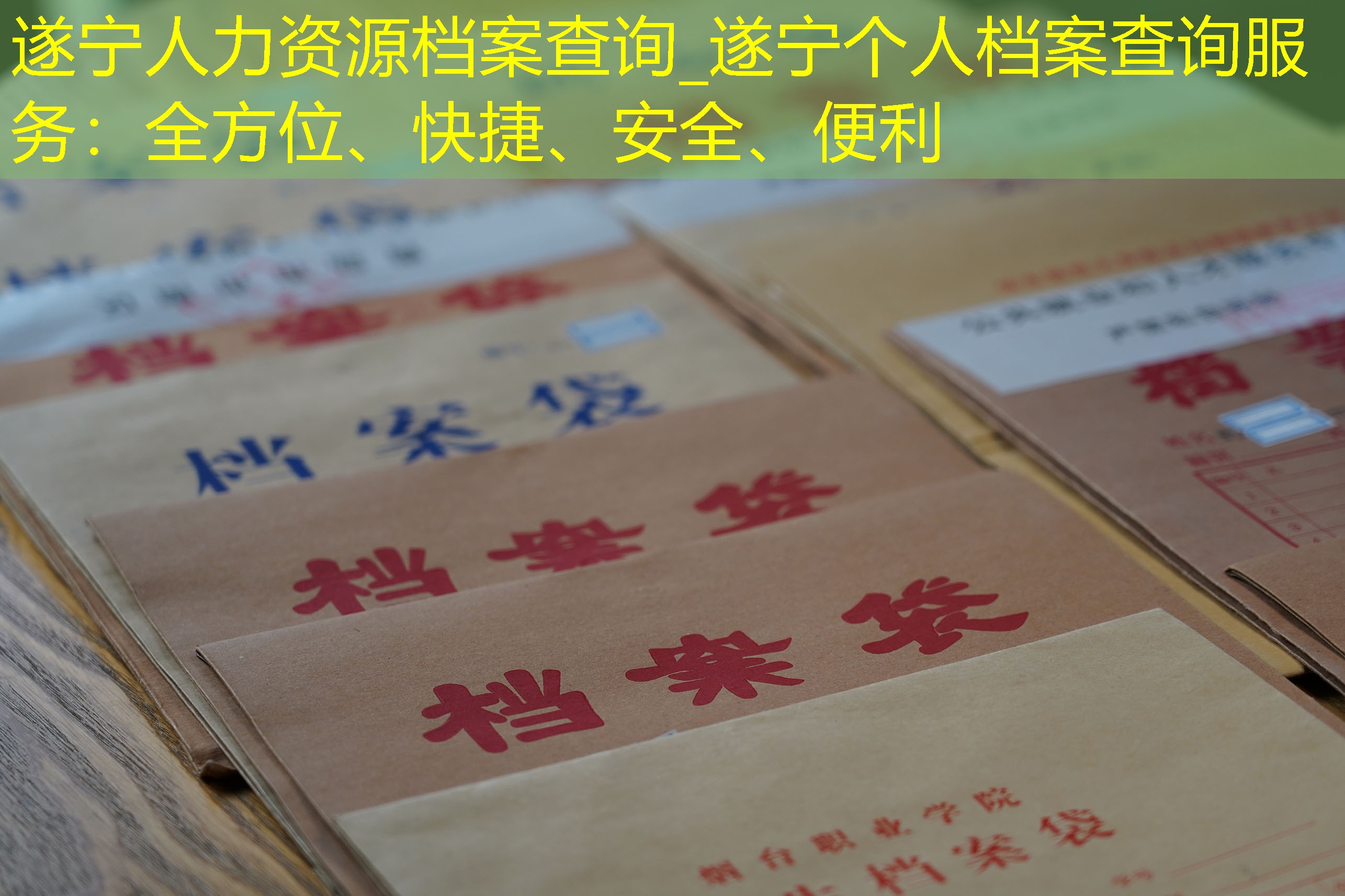 档案查询