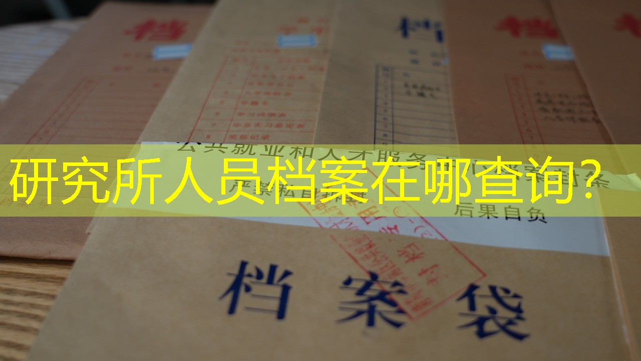档案查询