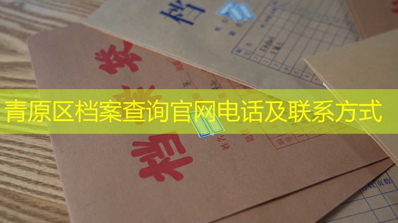 档案查询