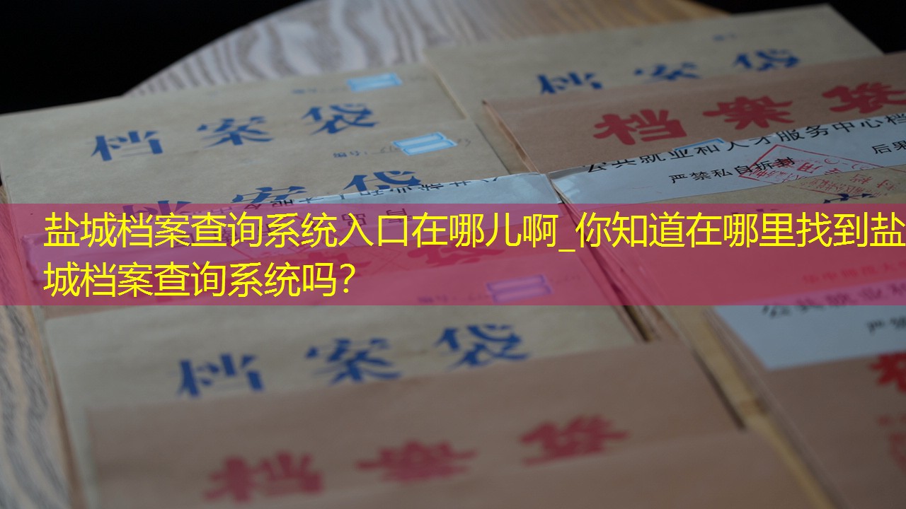 档案查询