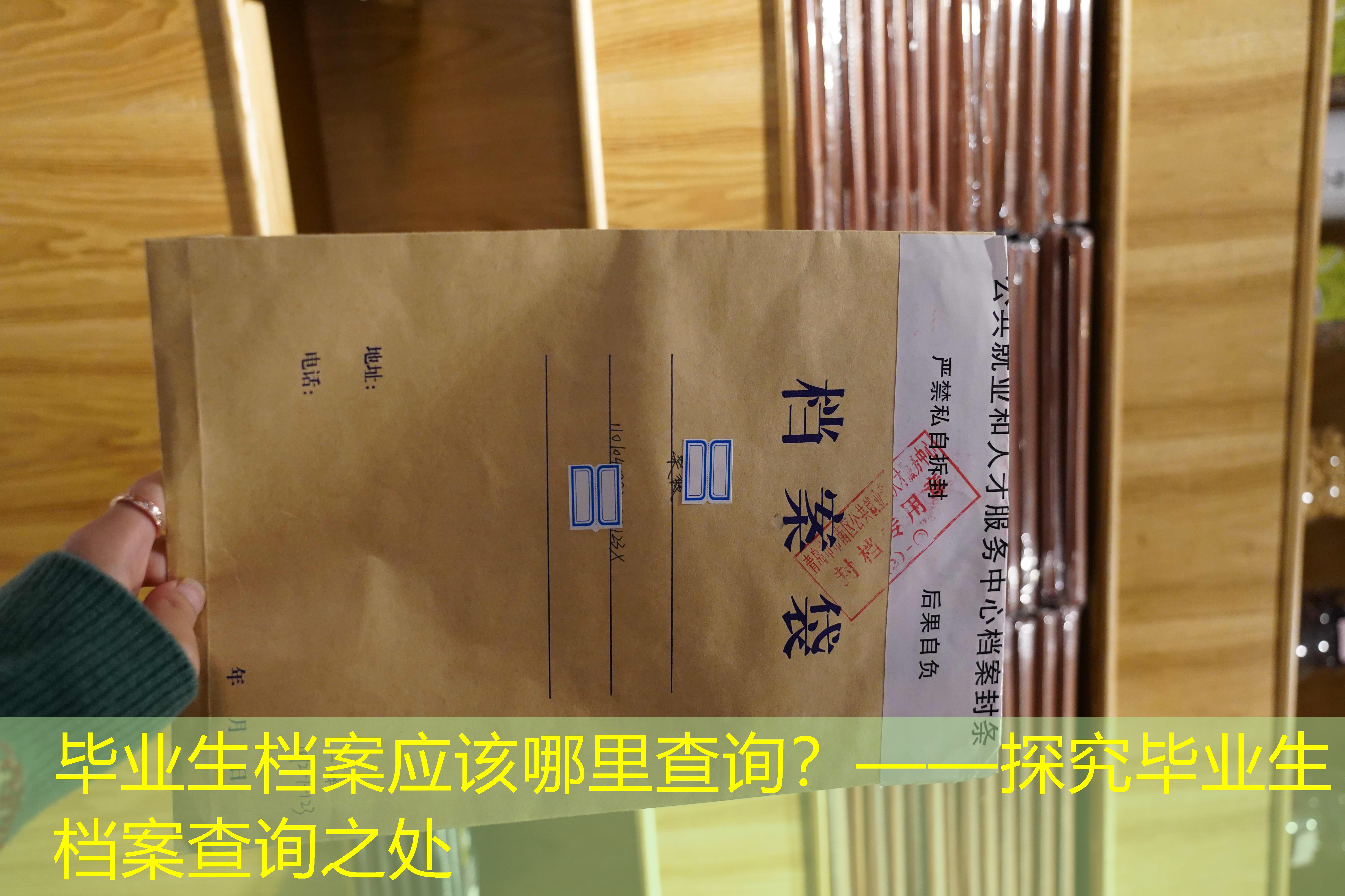 档案查询