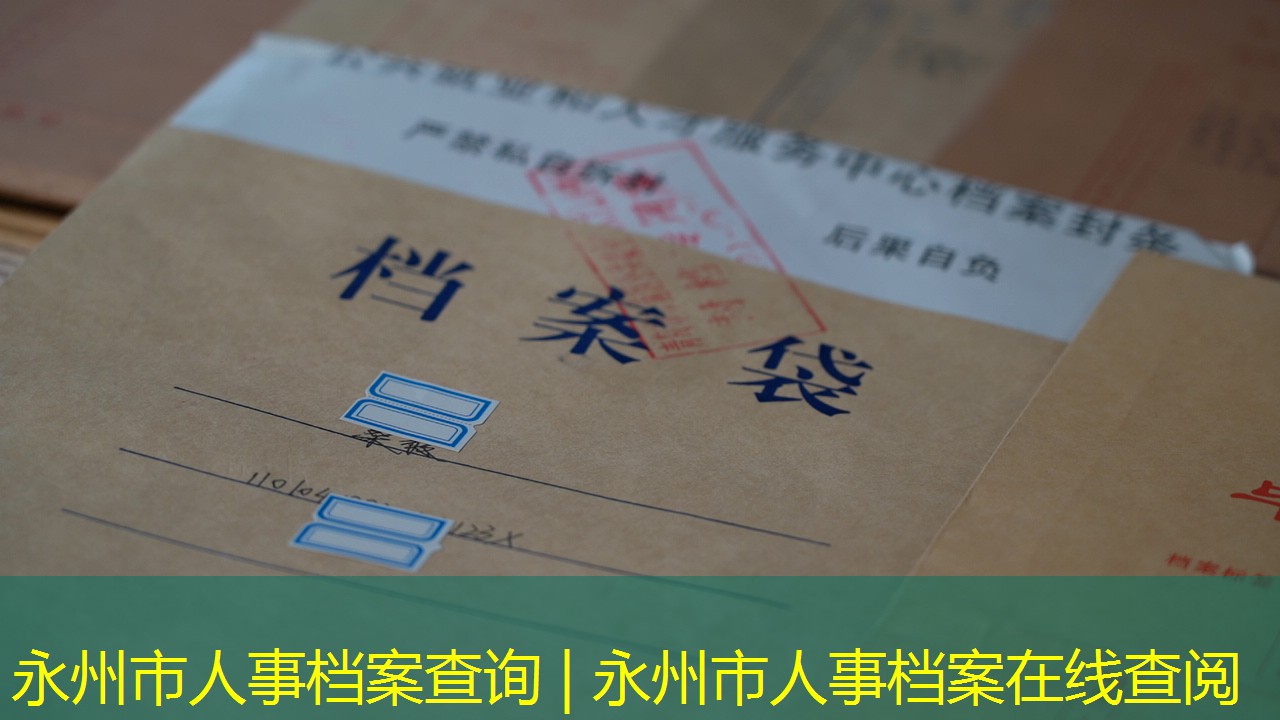 档案查询
