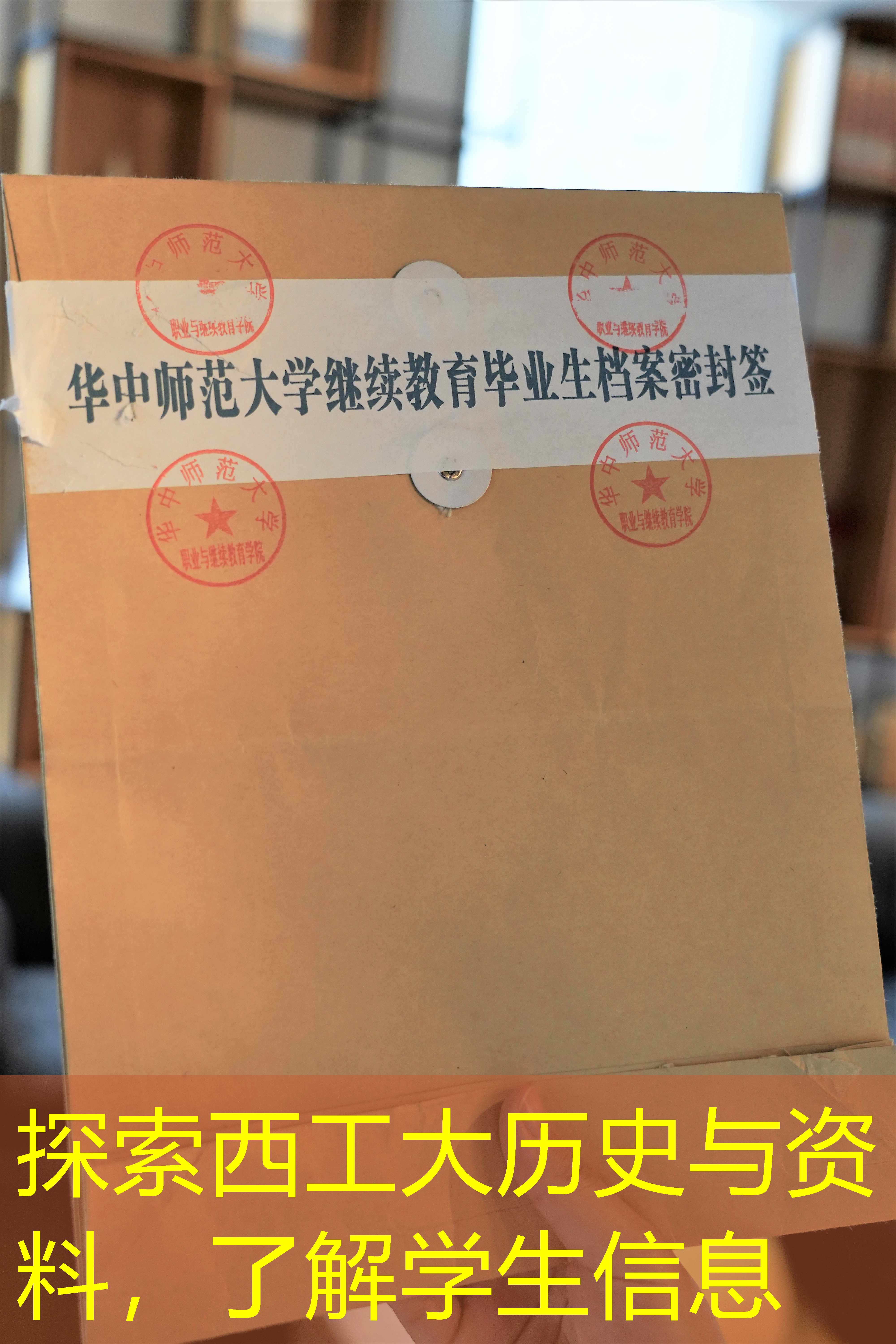 档案查询