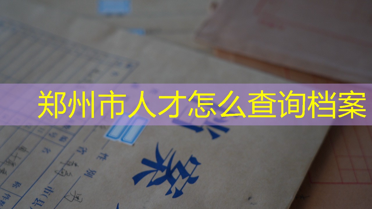 档案查询