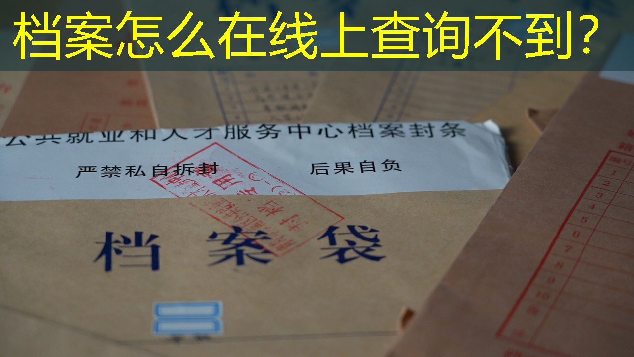 档案查询