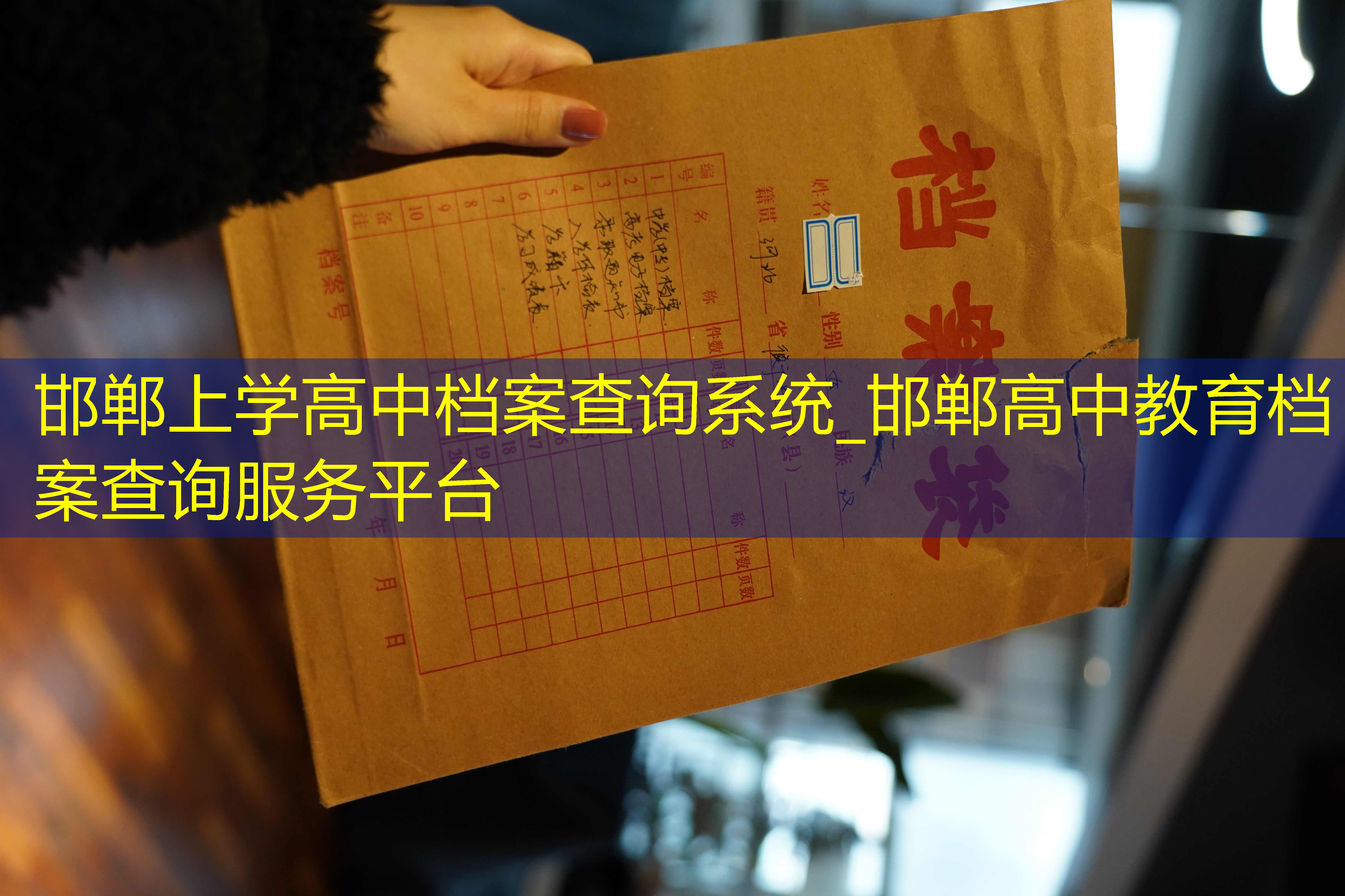 档案查询