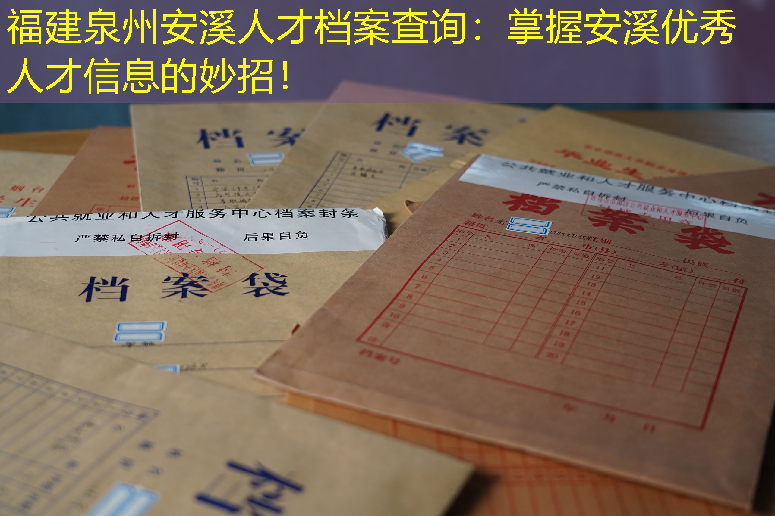档案查询
