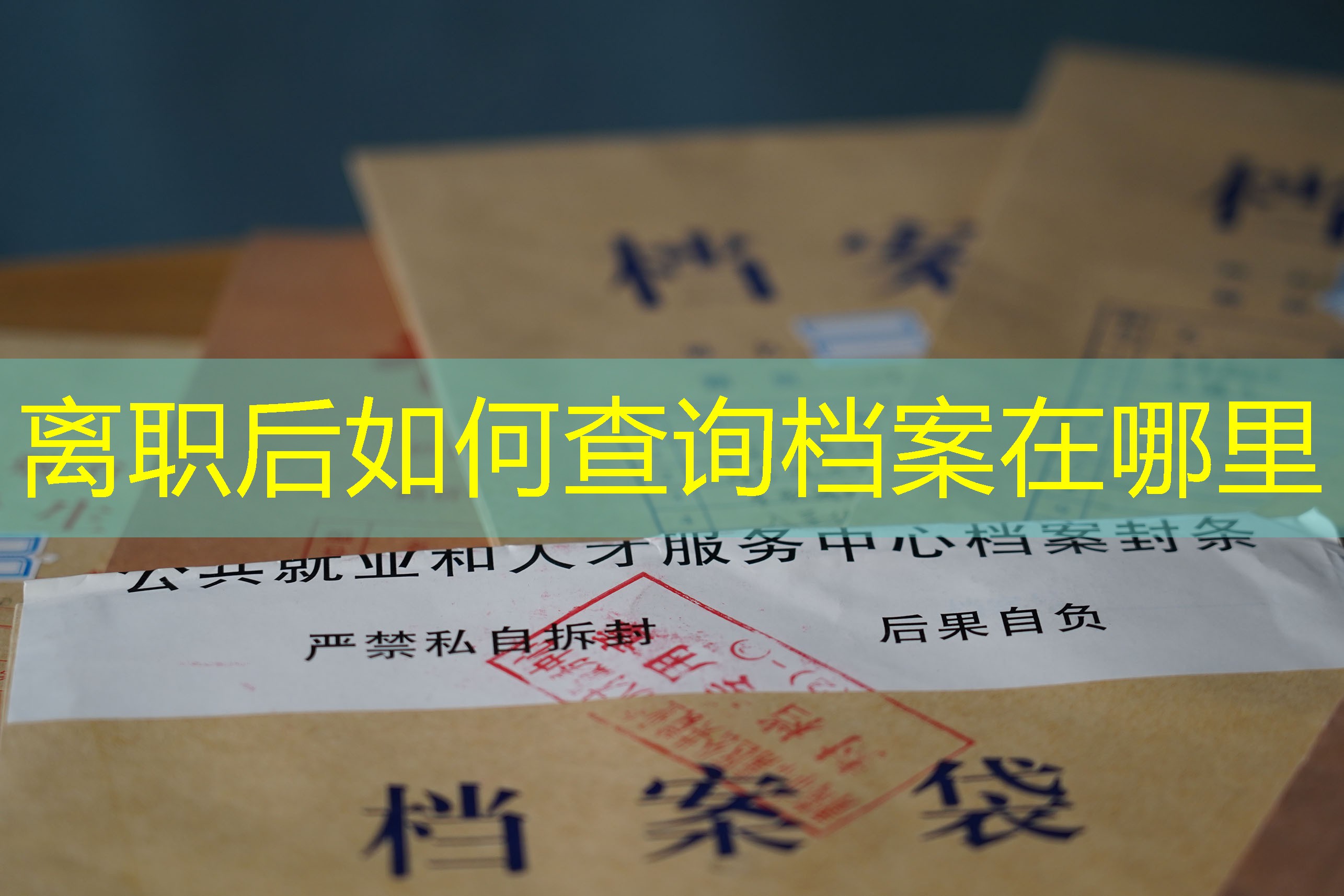 档案查询