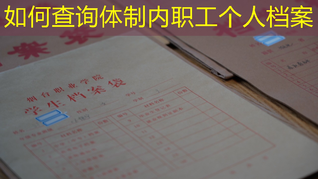 档案查询