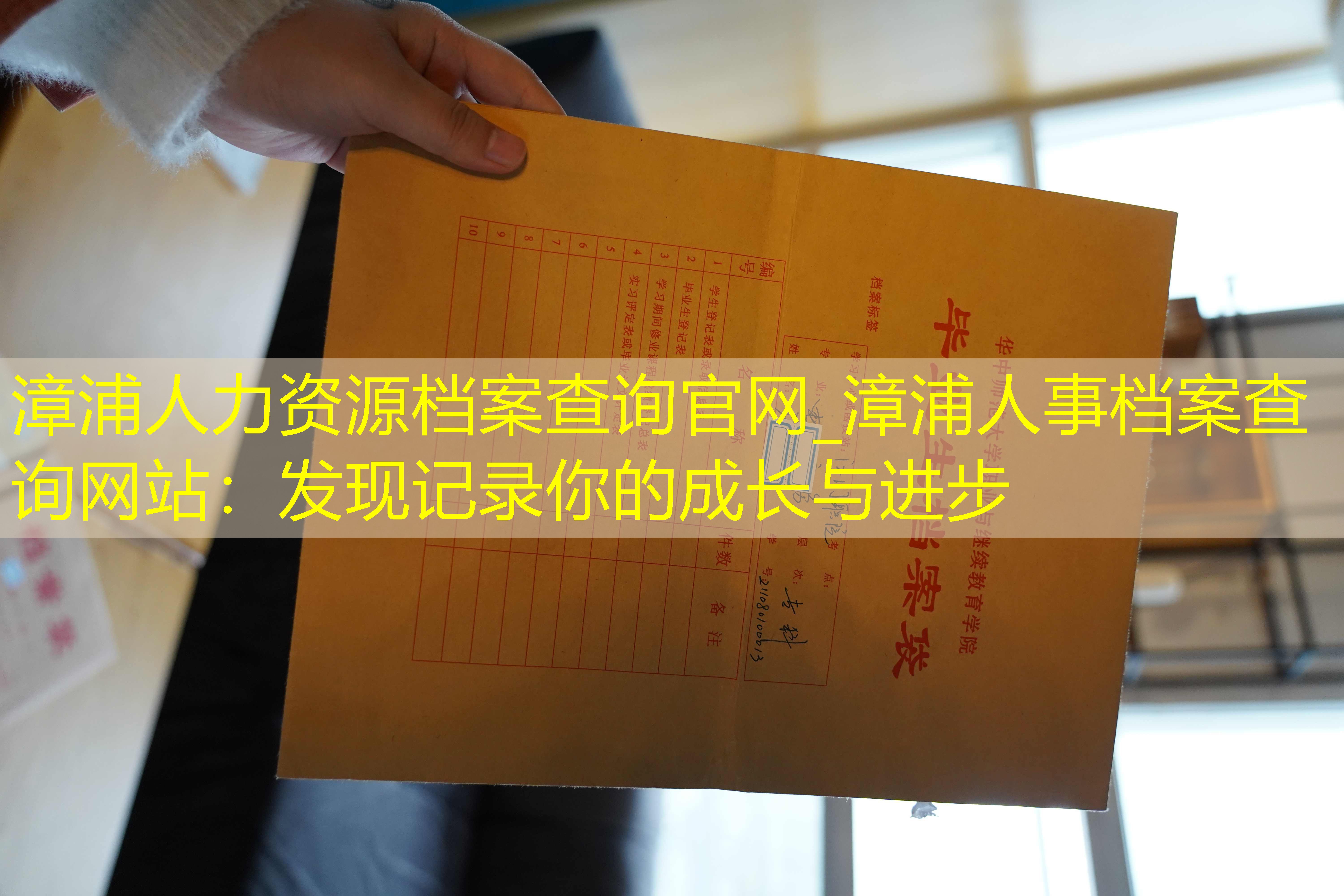 档案查询