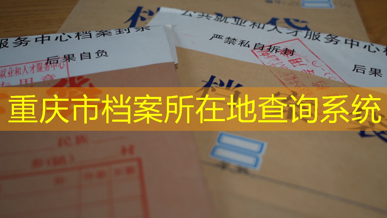 档案查询