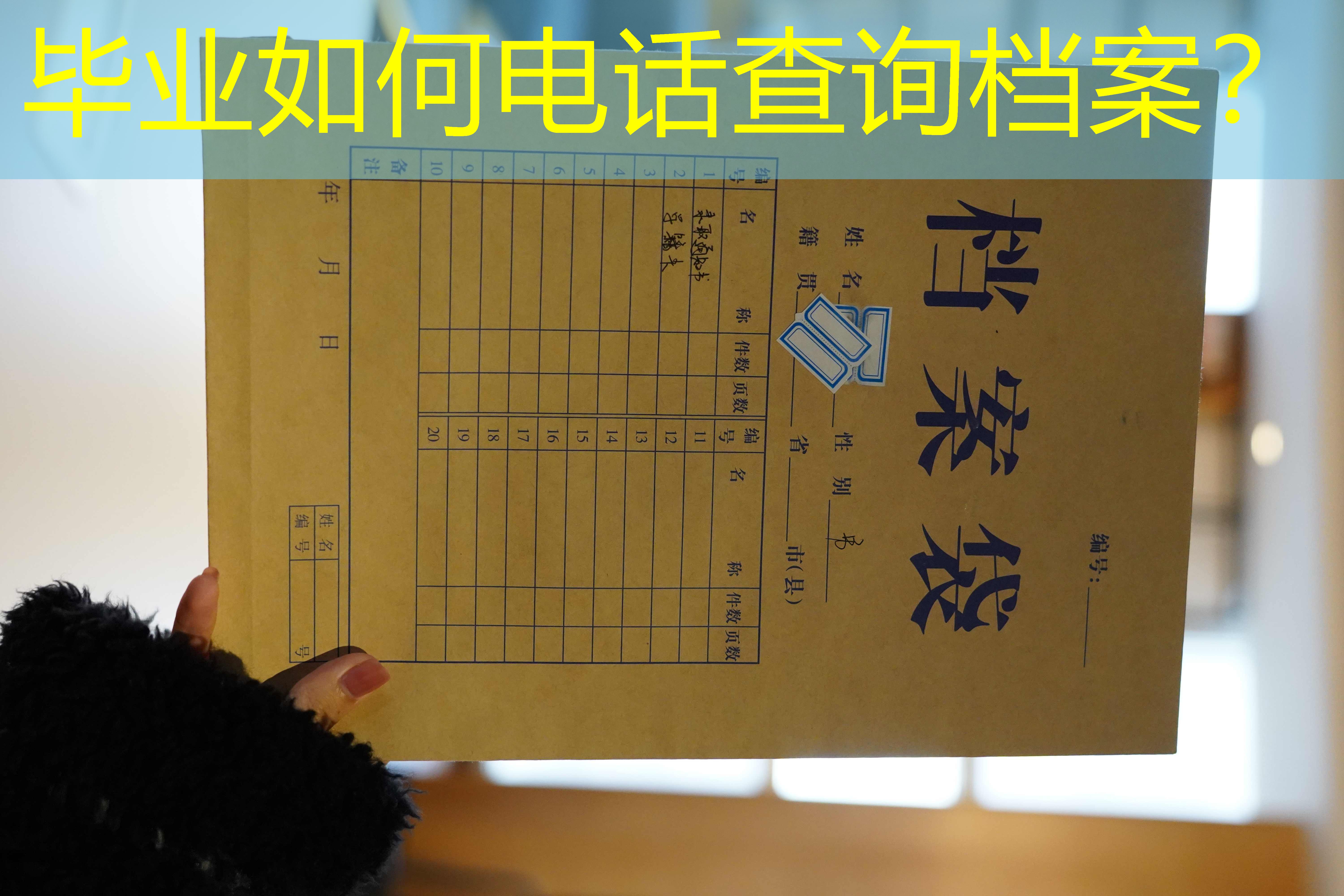 档案查询