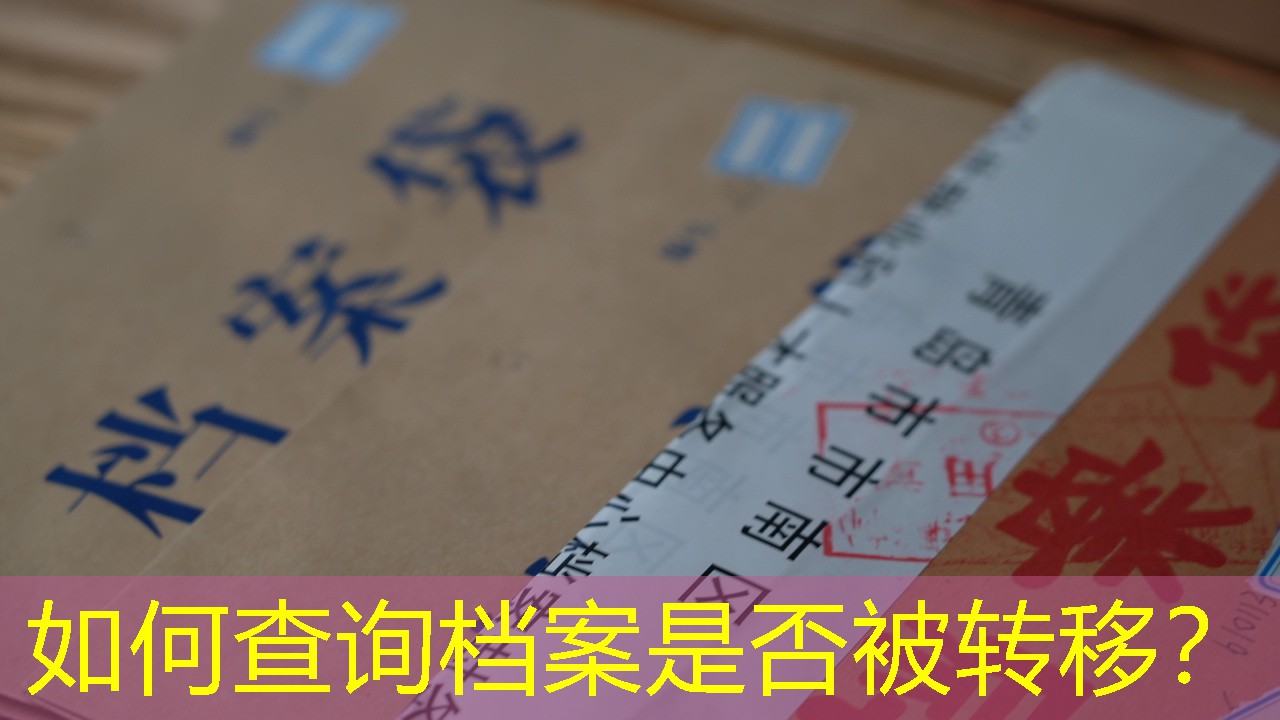 档案查询