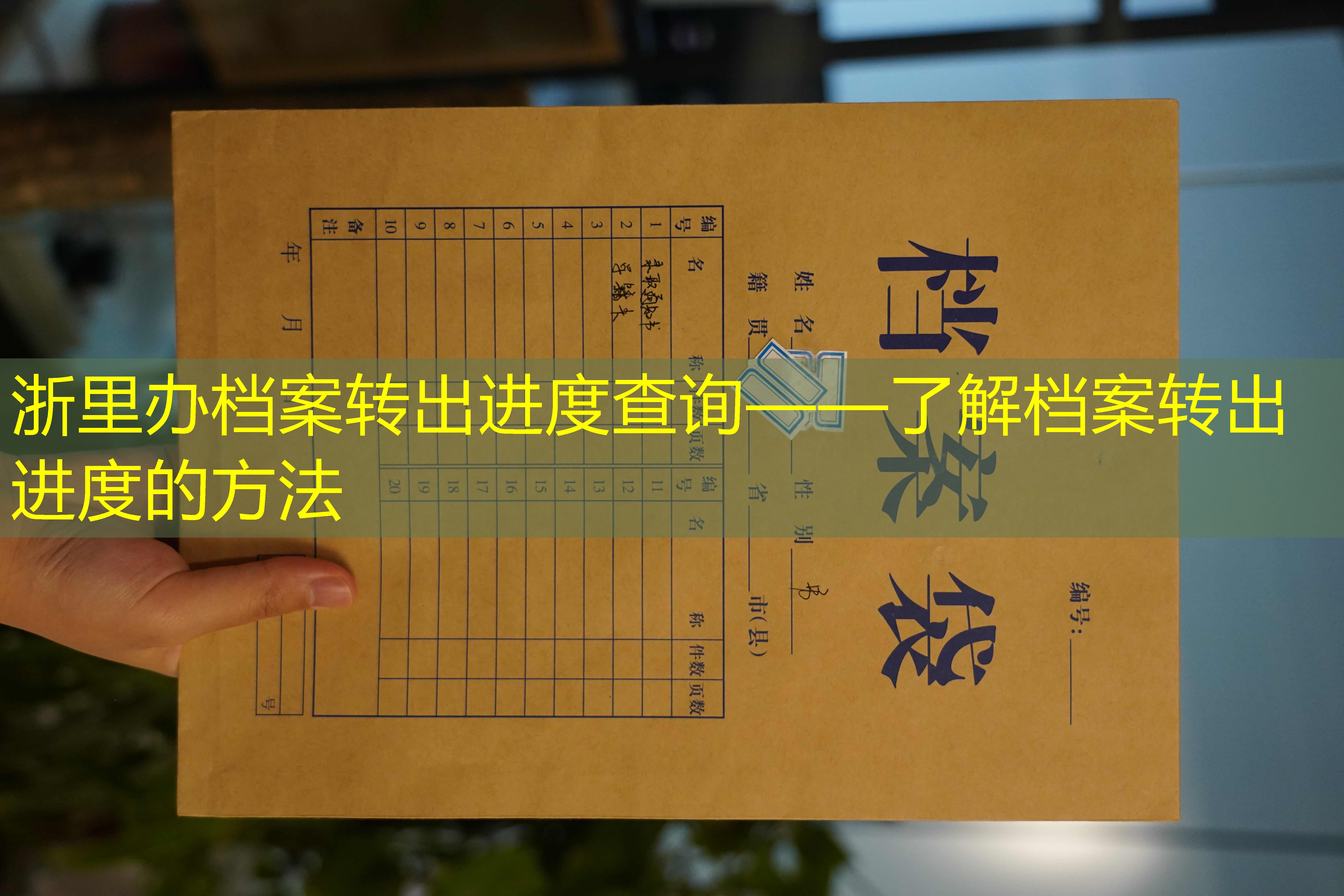 档案查询