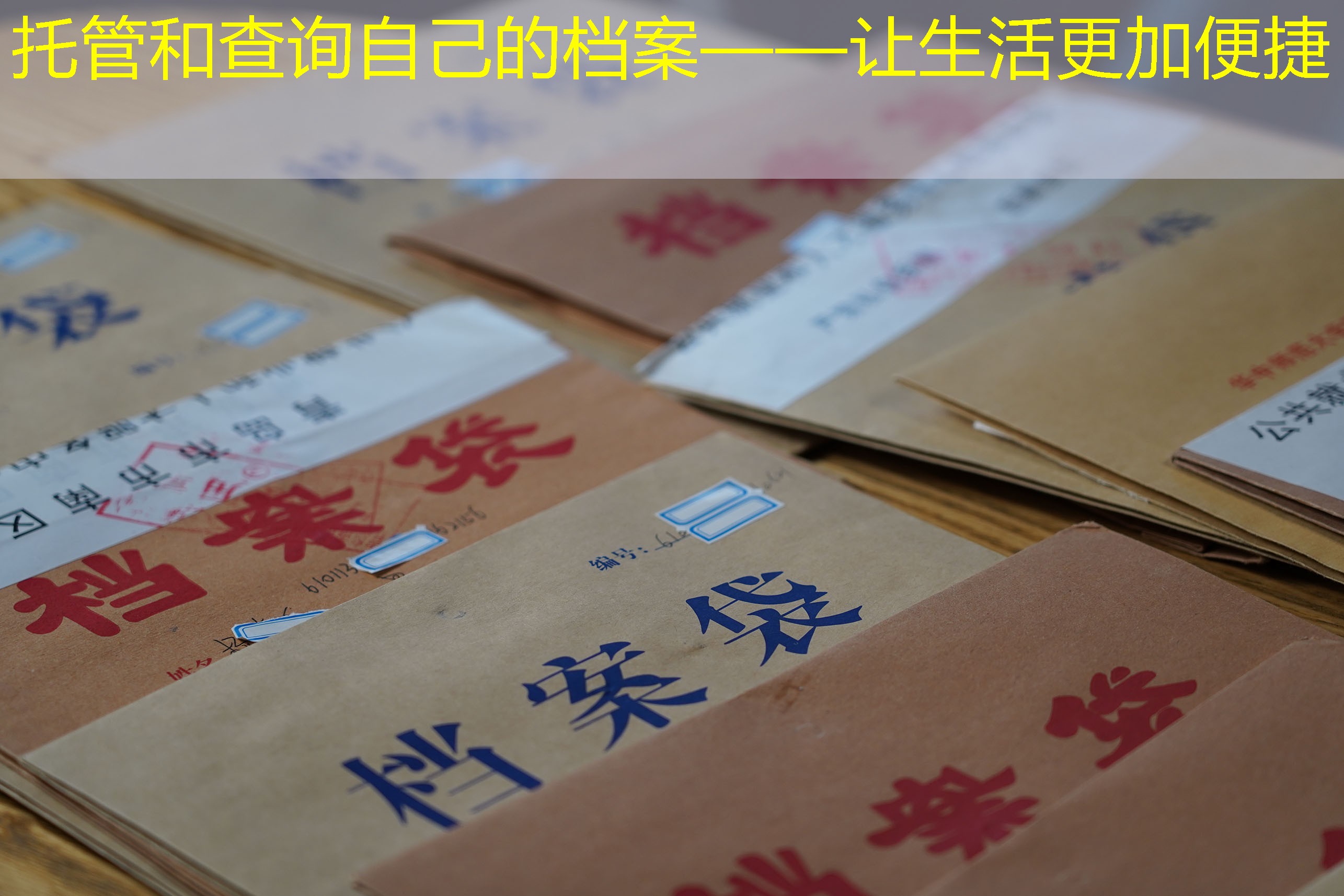 档案查询