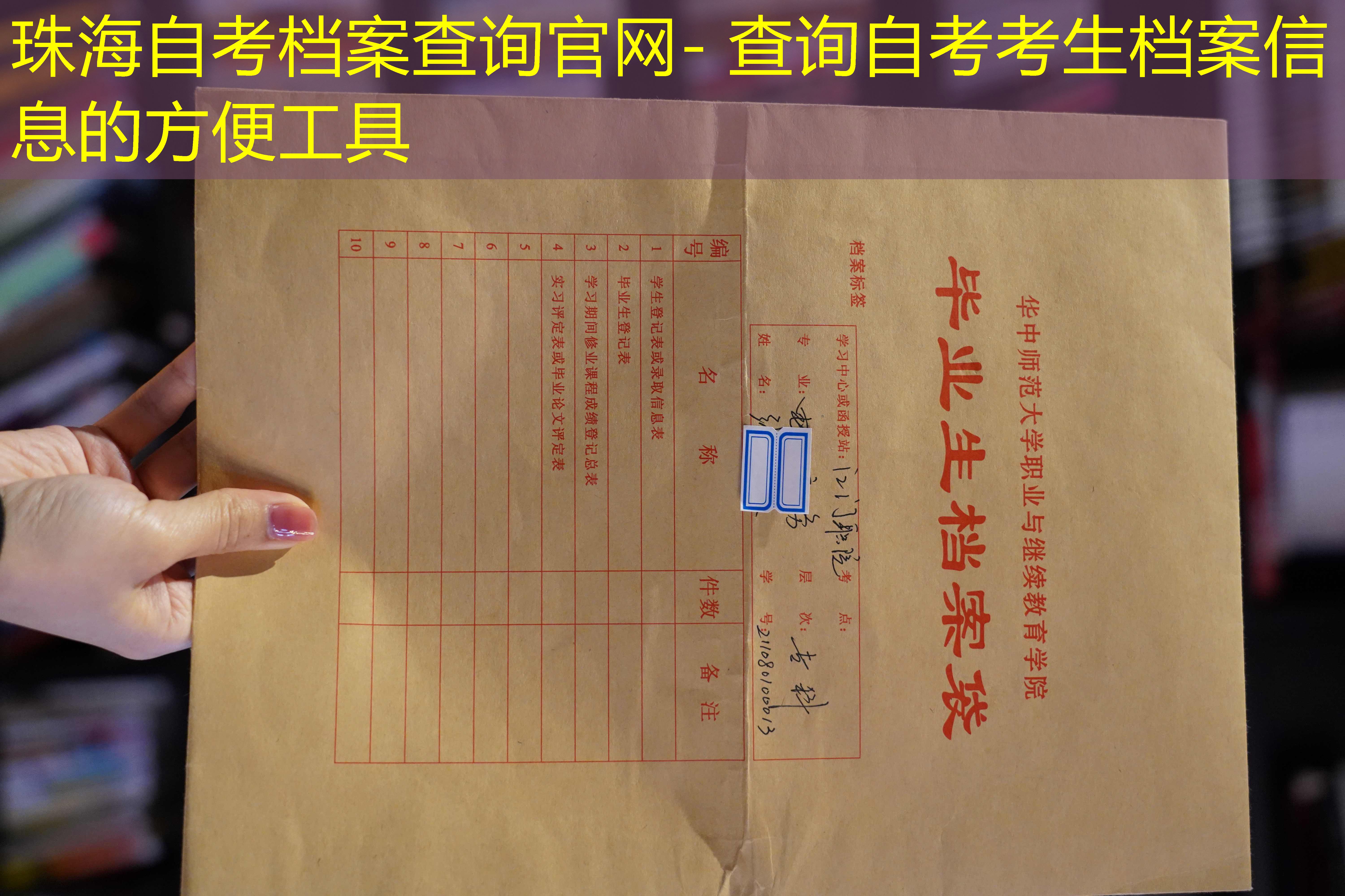 档案查询