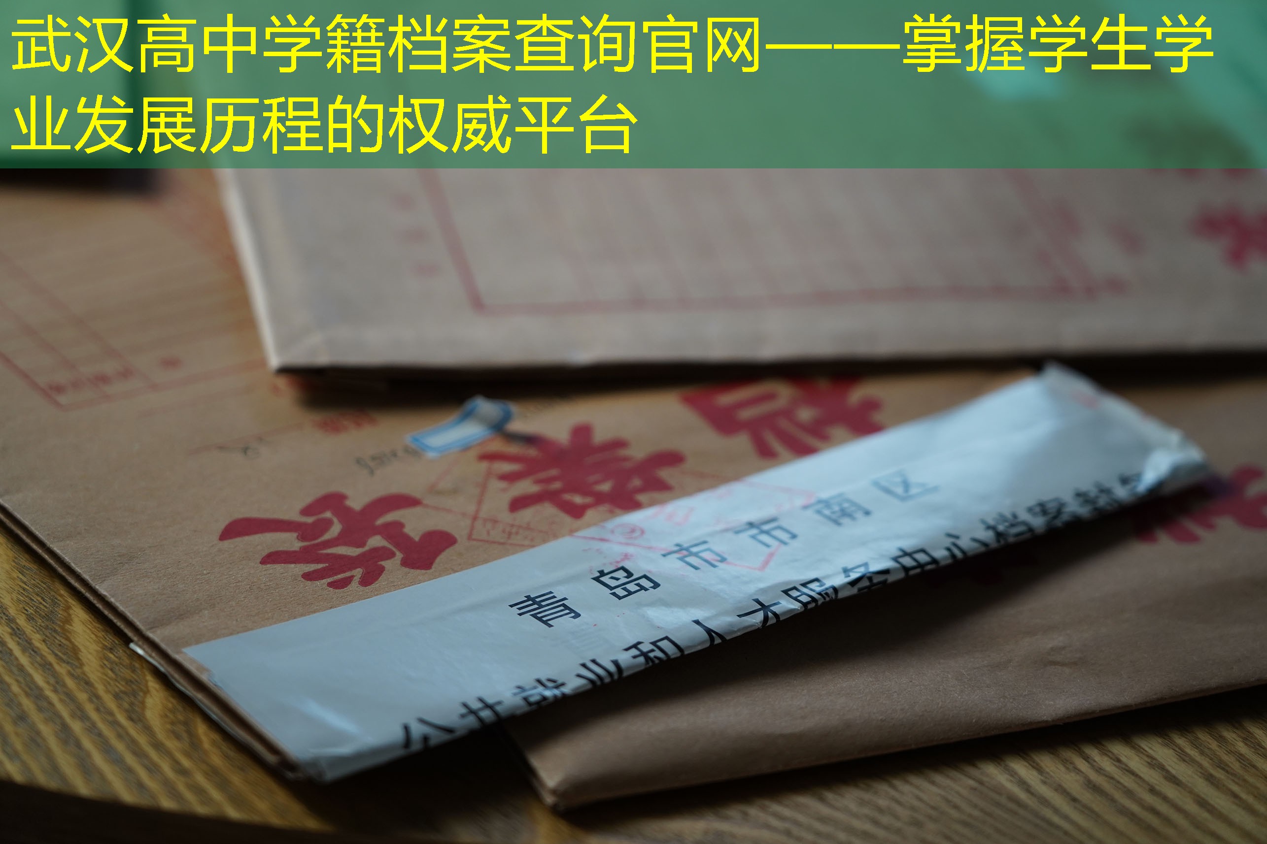 档案查询