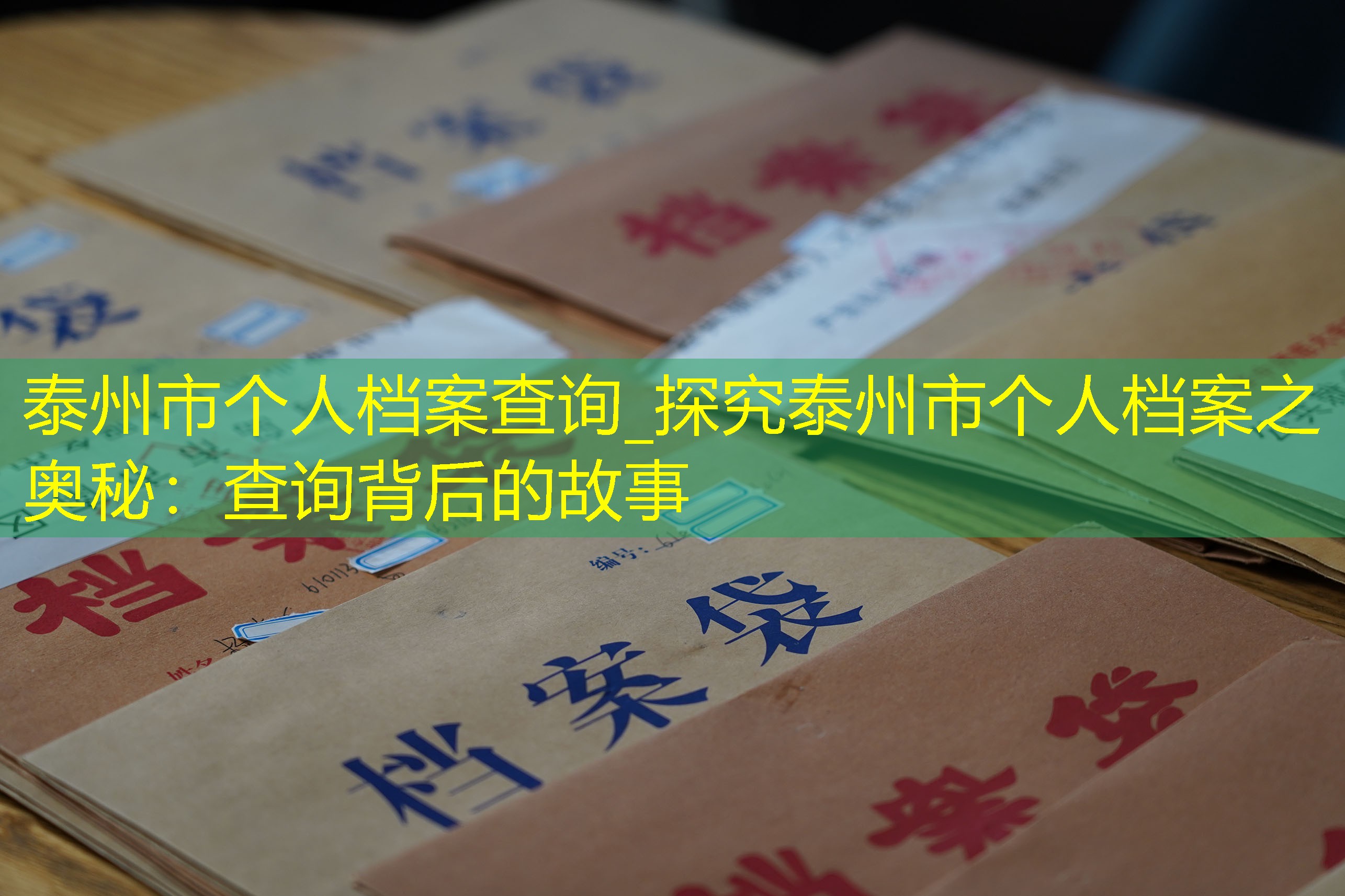 档案查询