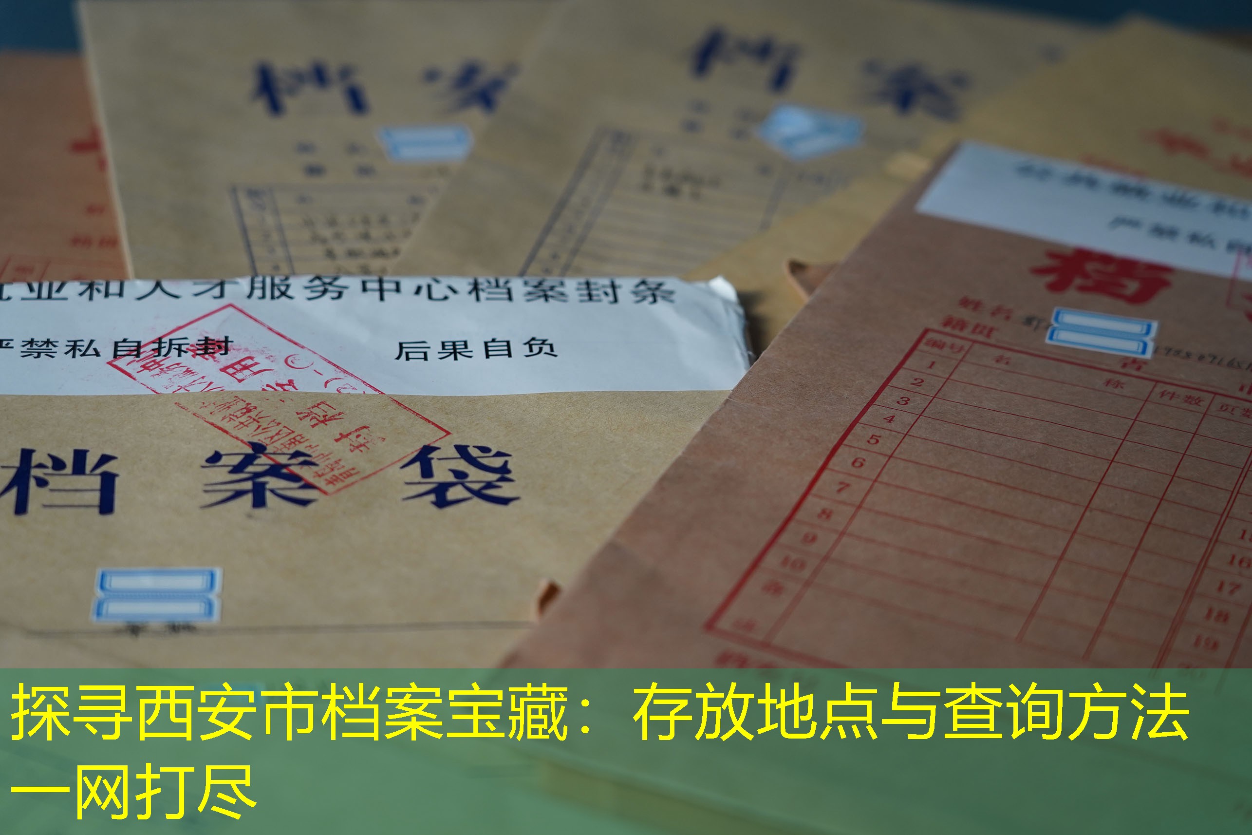 档案查询