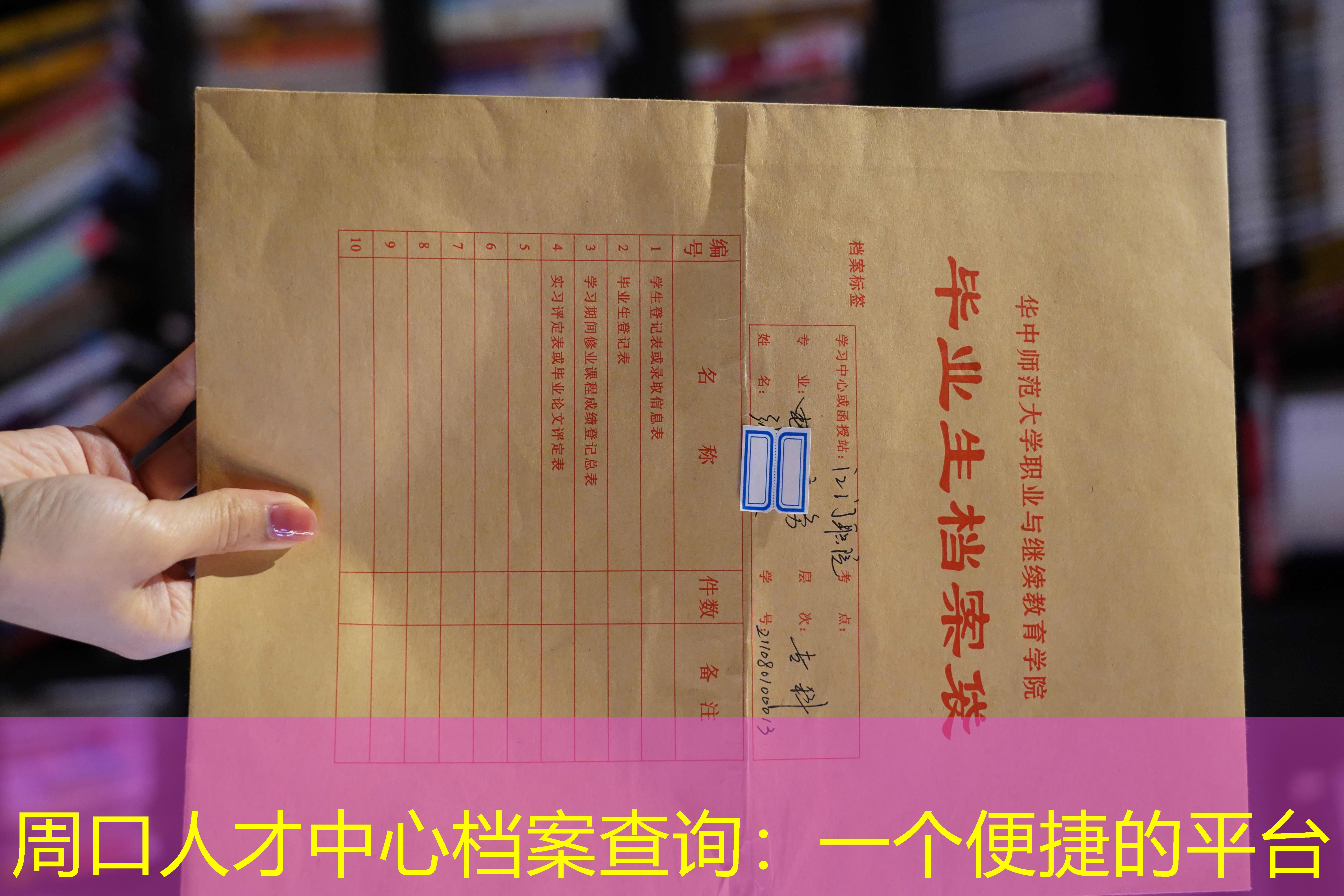 档案查询