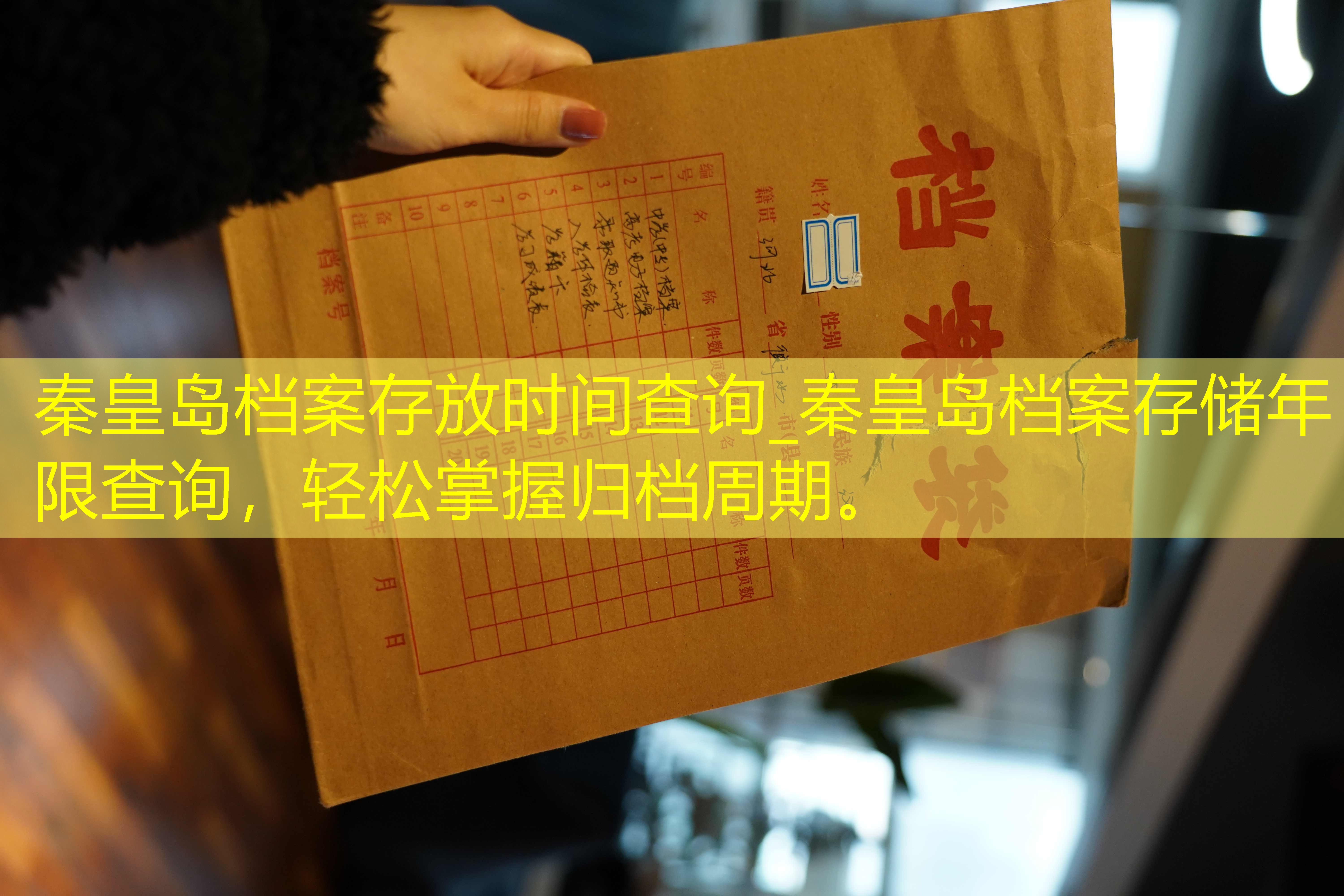 档案查询
