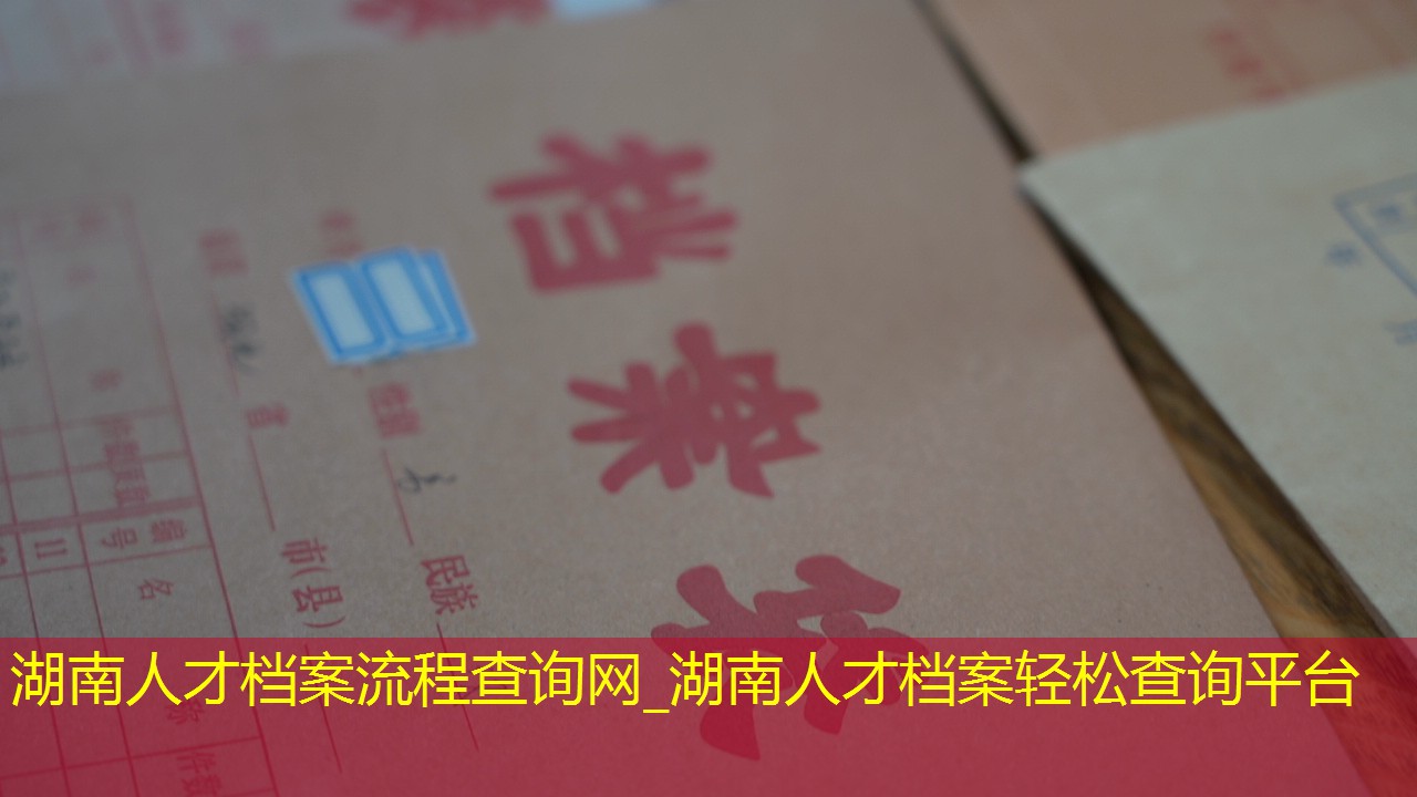 档案查询